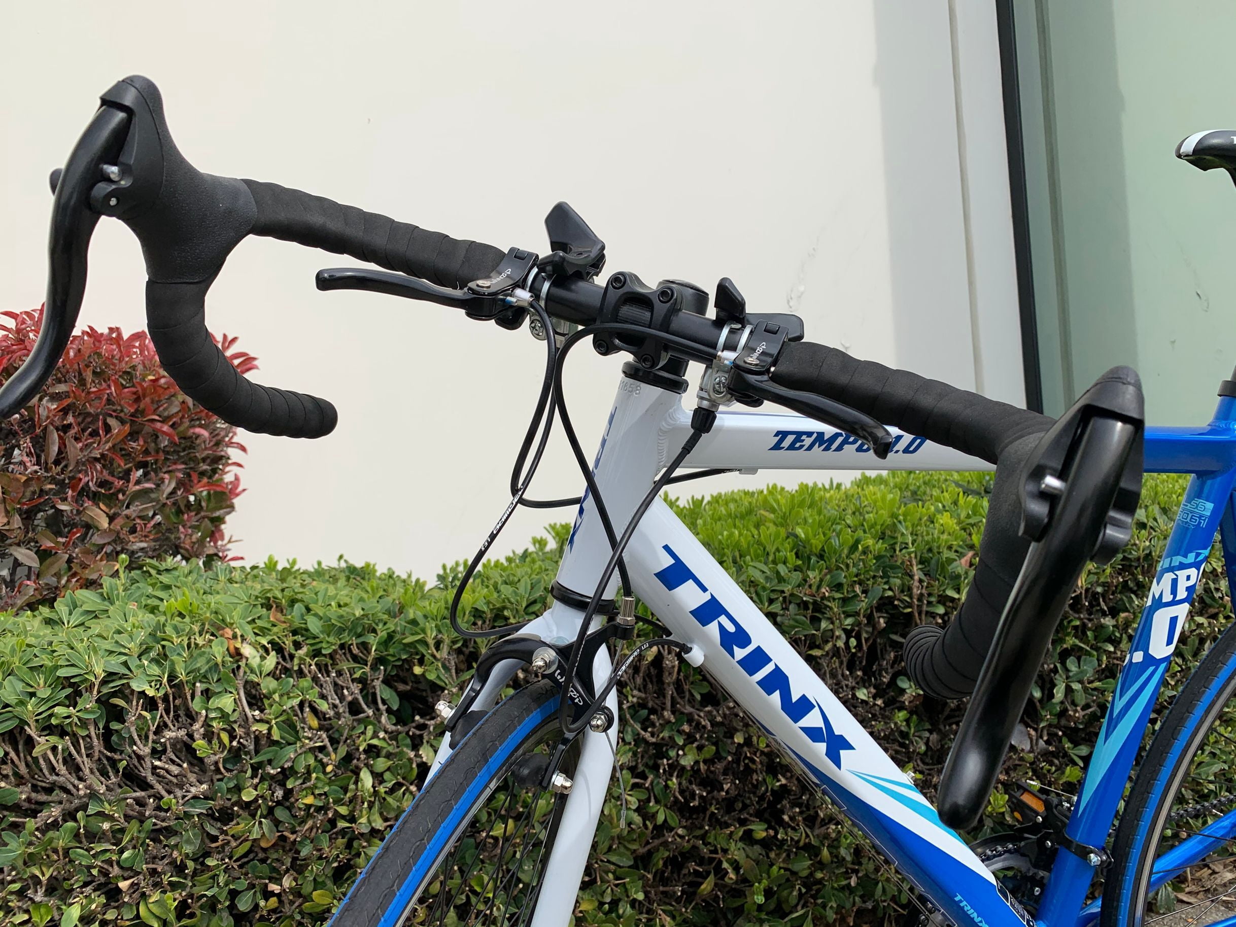 Trinx TEMPO1.0 Road Bike Shimano 21-Speed Racing Bicycle (Blue/White, 21 in) swucb