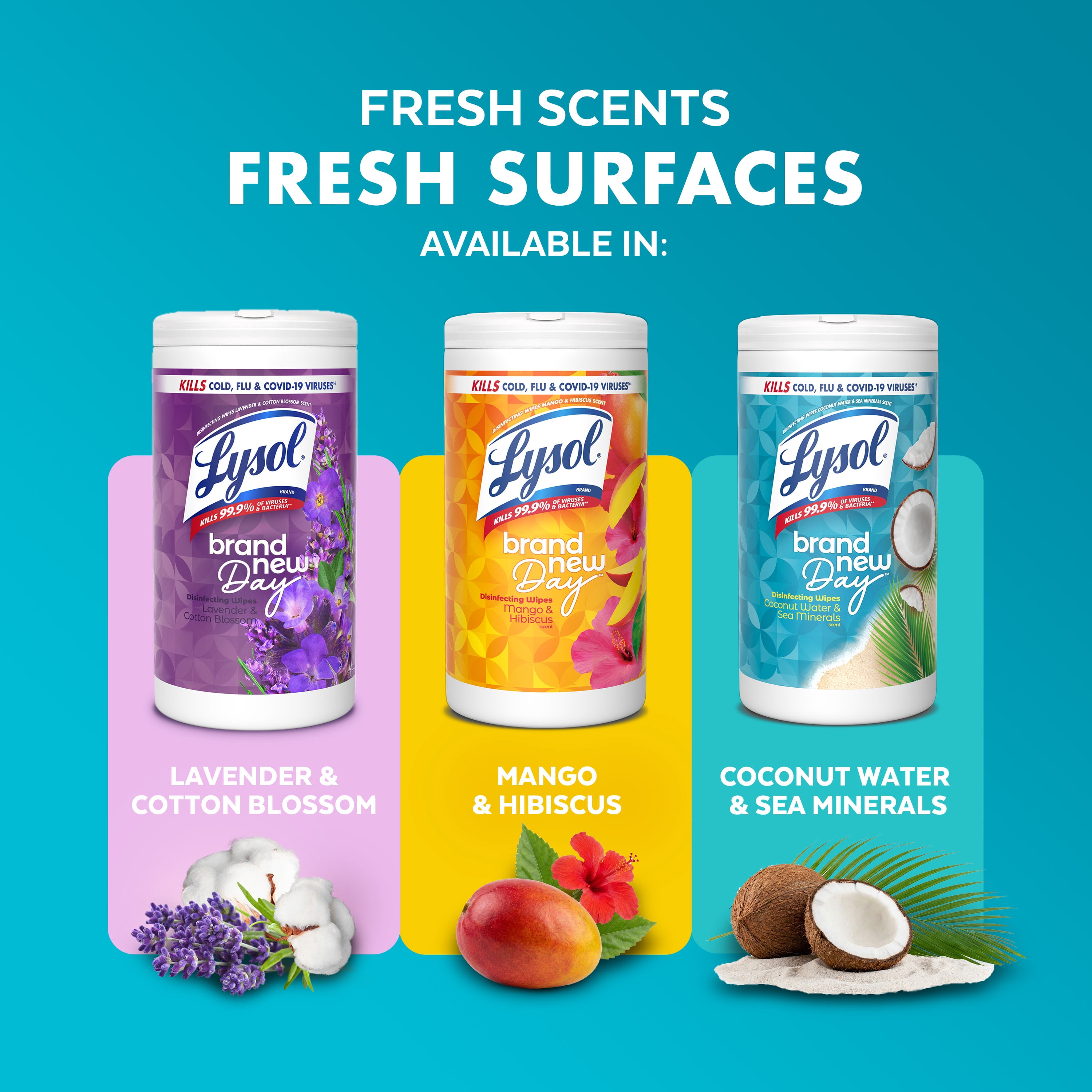 Lysol Disinfecting Wipes, Multi-Surface Antibacterial Cleaning Wipes, Coconut & Sea Minerals Scent (80 Count) 8qijm