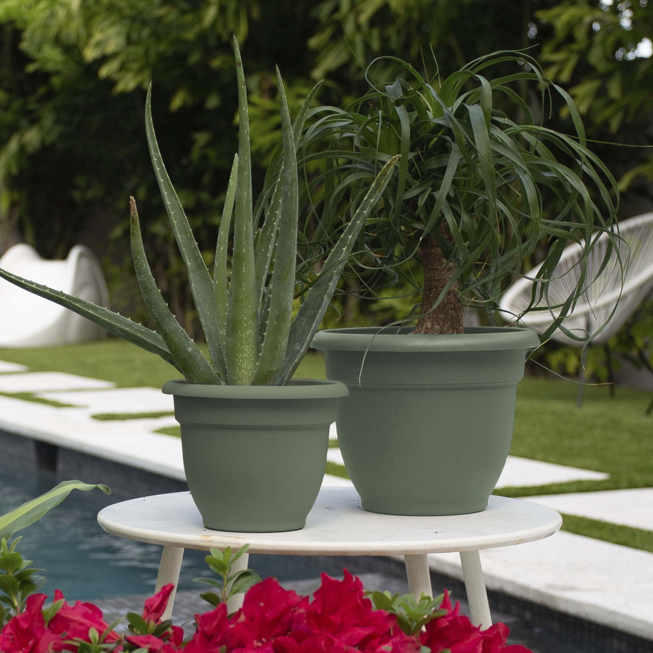 Bloem Ariana Self-Watering Plastic Planter Pot (Green, 6 in) ist7e