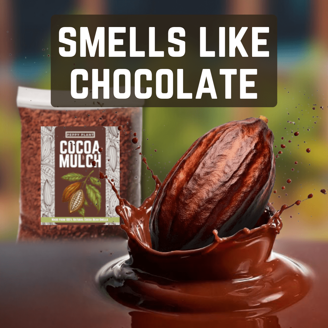 Peppy Plants Organic Cocoa Bean Shell Mulch for Gardens and Potted Plants (Brown, 4 Quarts) 32971