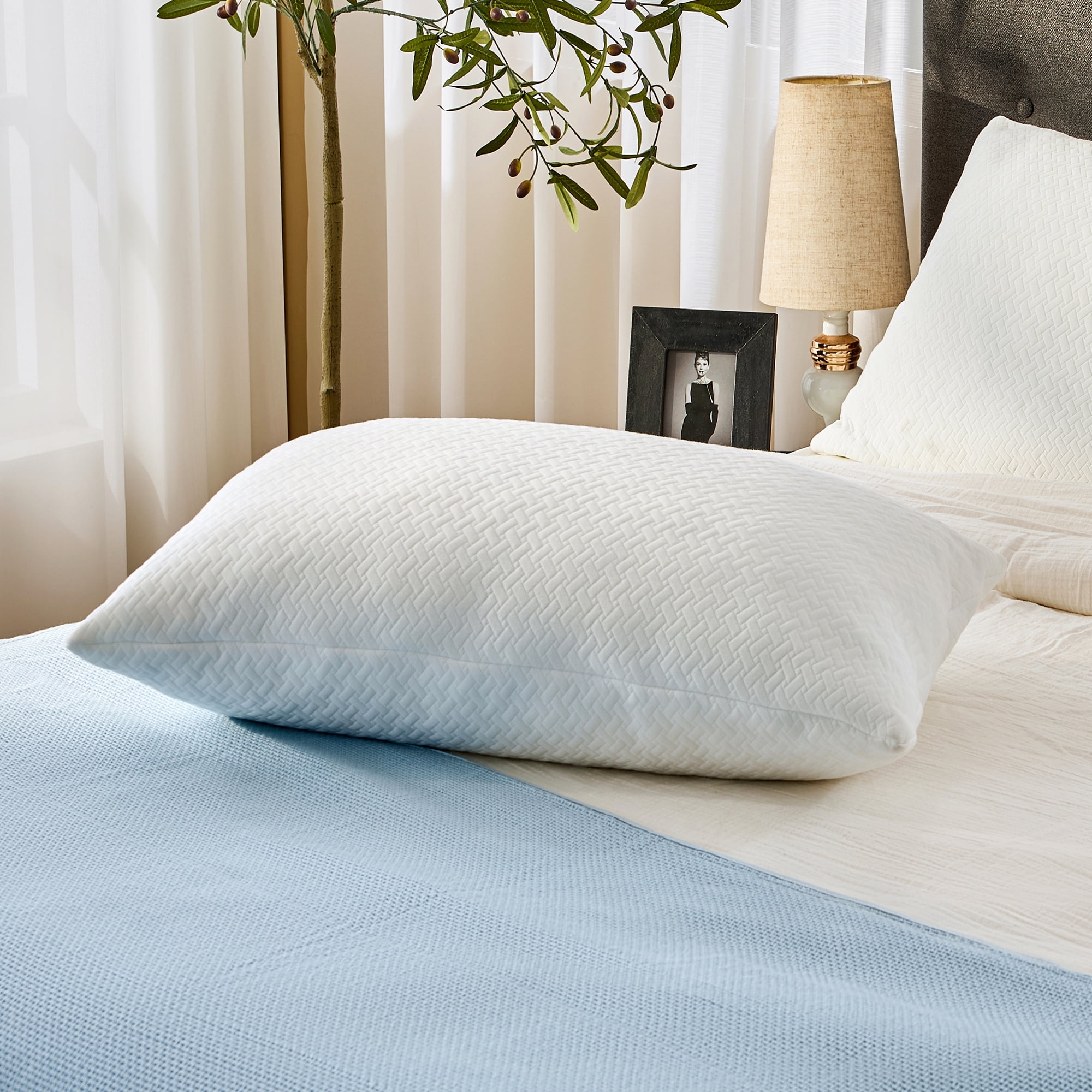 EGOHOME Shredded Gel Memory Foam Bed Pillow (White, 2 Pack, 28 in x 18 in) 9rm68