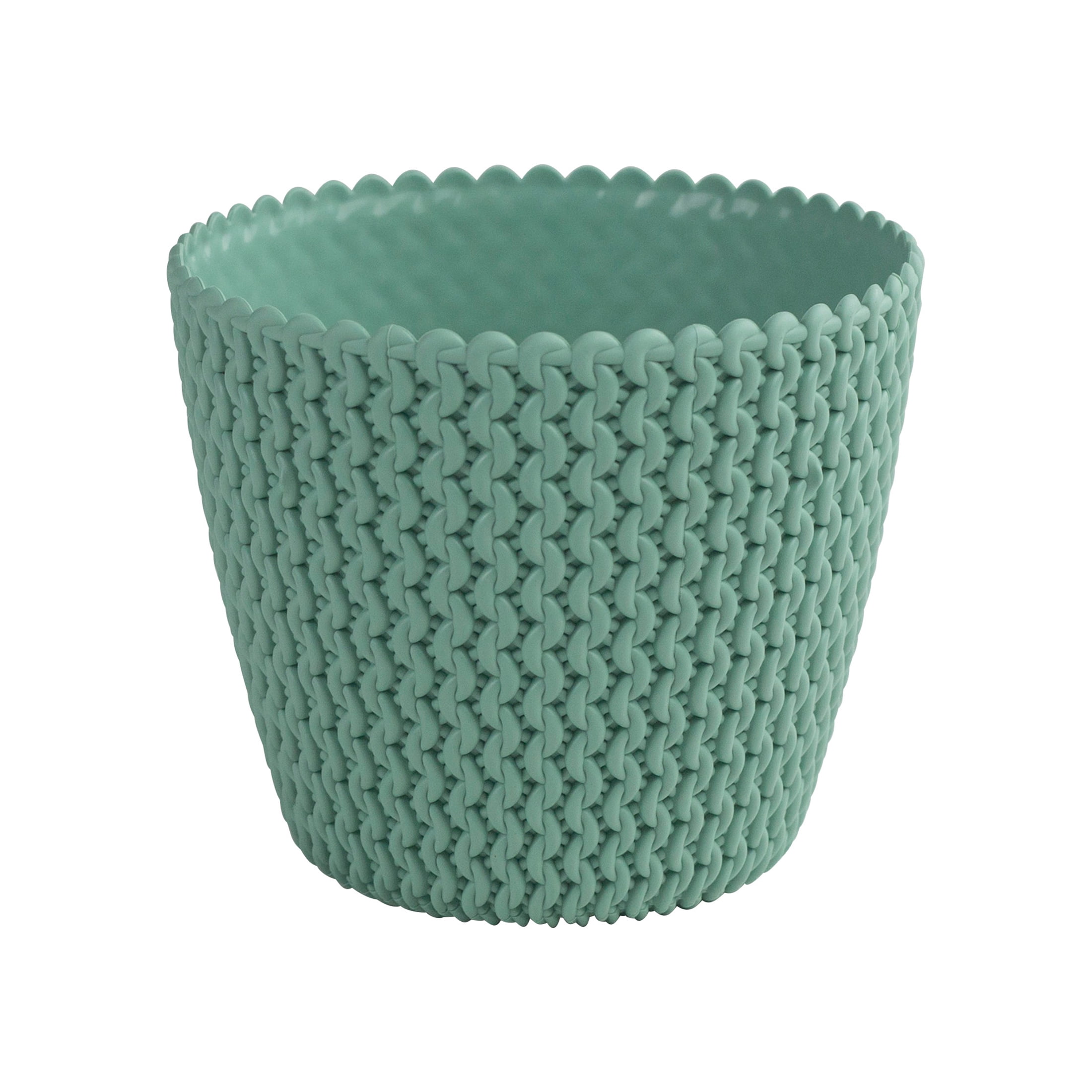 Buzzy Eucalyptus House Plant DIY Growing Kit (Woven Planter, 1 Kit) 6ic3f