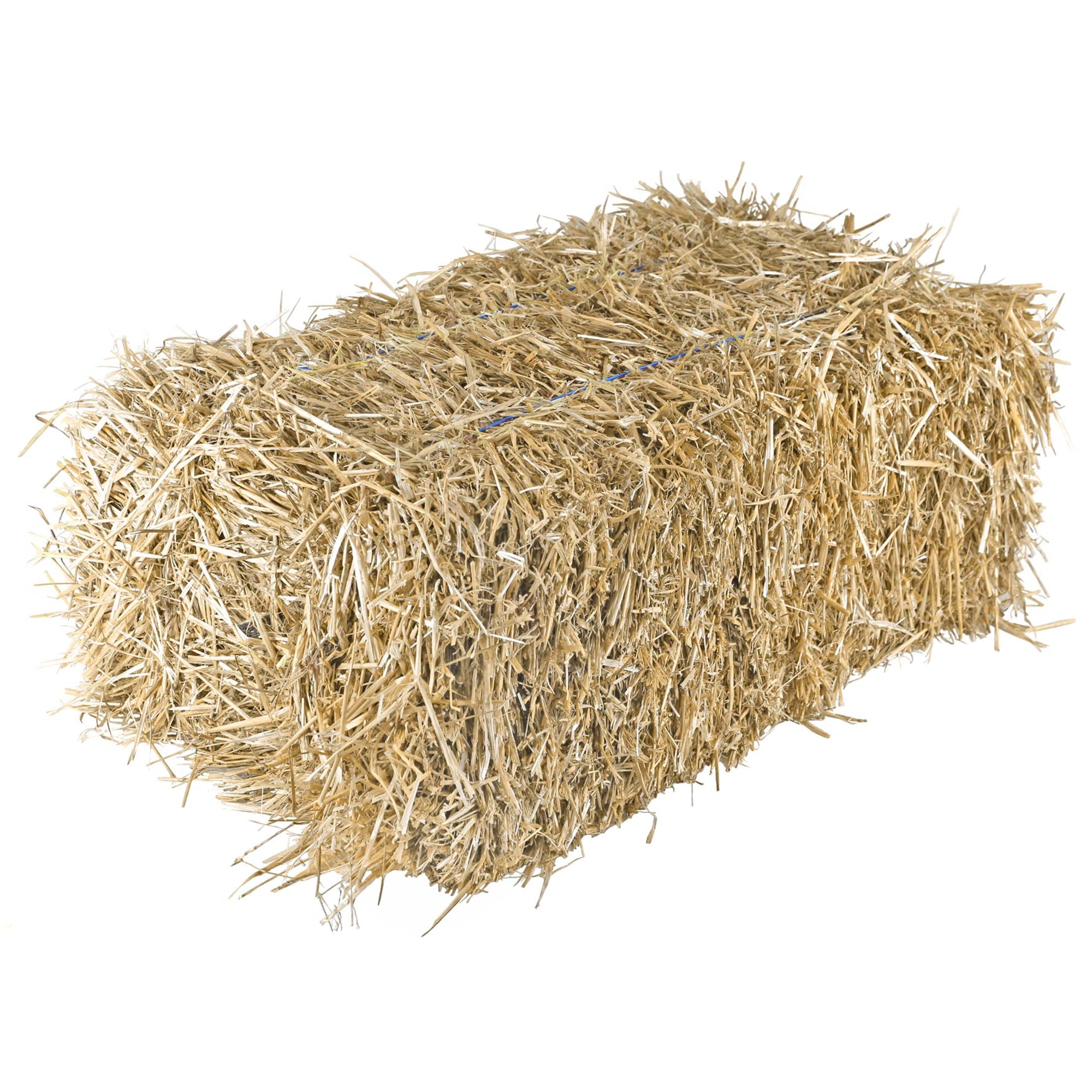 Garden Elements Natural Wheat Straw Bale for Gardening and Animal Bedding (Beige, 22 in) 2ifq5