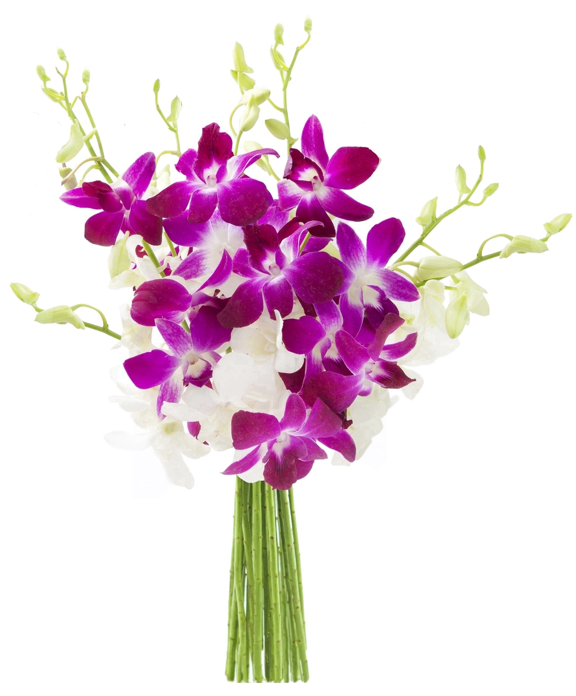 KaBloom Fresh Orchid Bouquet (White and Purple, 10 Stems) 711dh