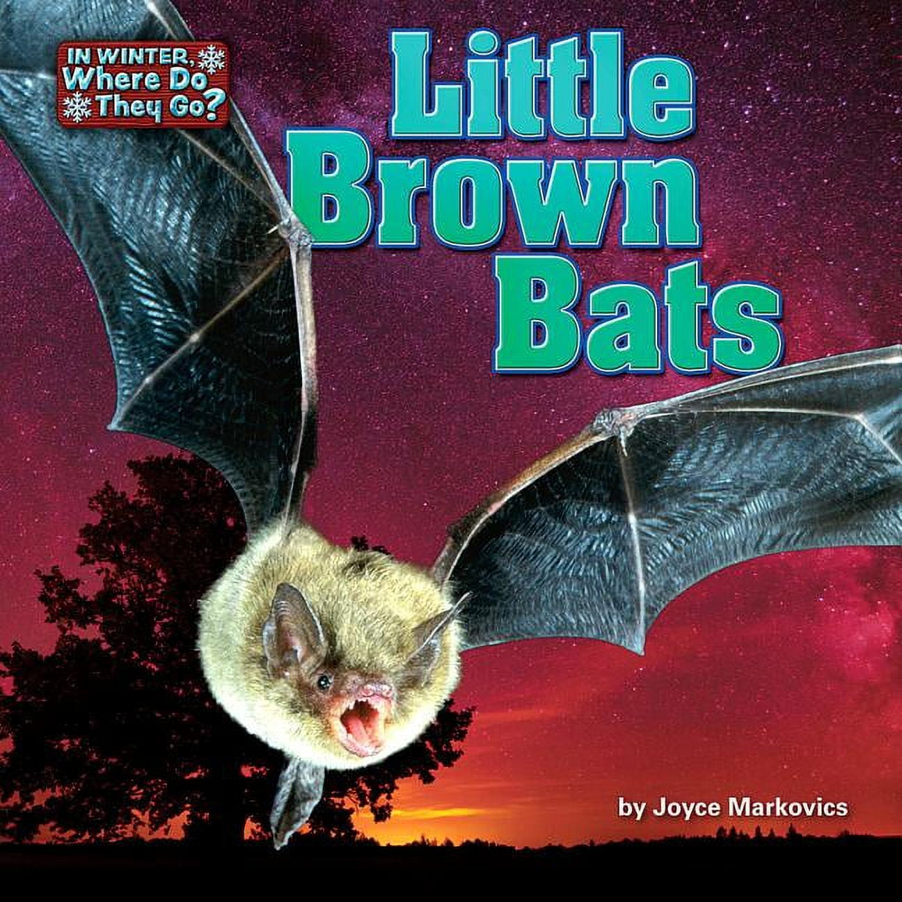 Joyce Markovics In Winter, Where Do They Go? Little Brown Bats (Hardcover, 24 Pages) u6bdl