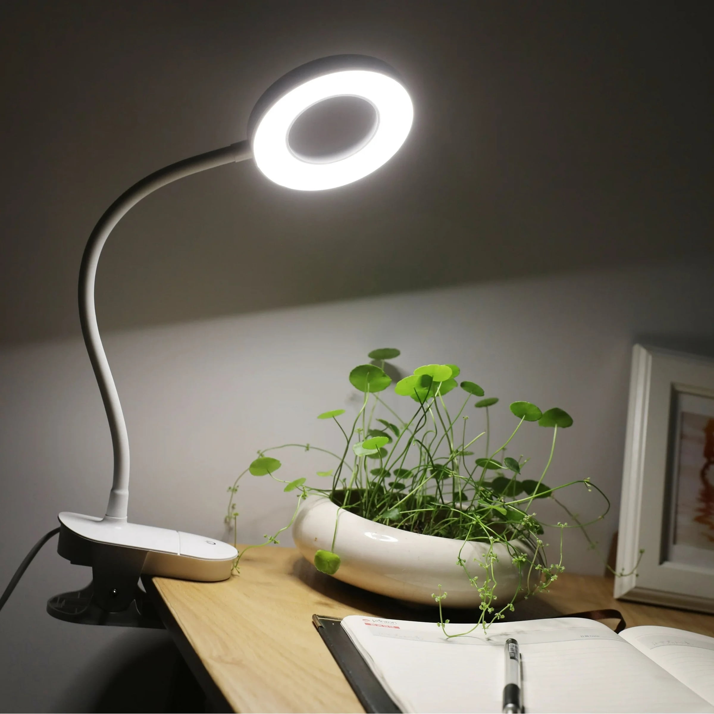 Mainstays LED Ring Light with Flexible Gooseneck and Clip (White, 18.9 in) gj5h7