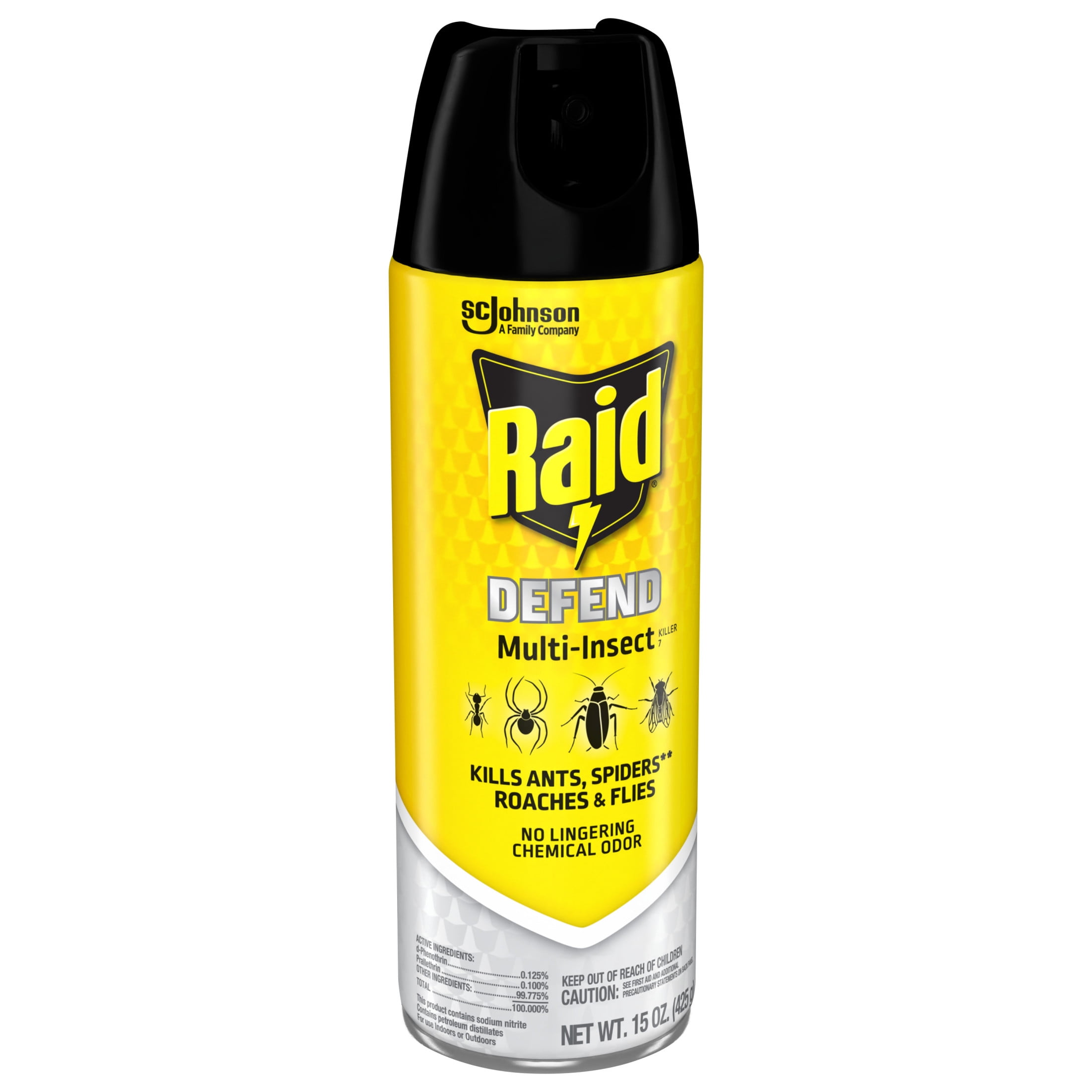 Raid Multi-Insect Killer Spray for Indoor and Outdoor Use (15 oz) ikq5t