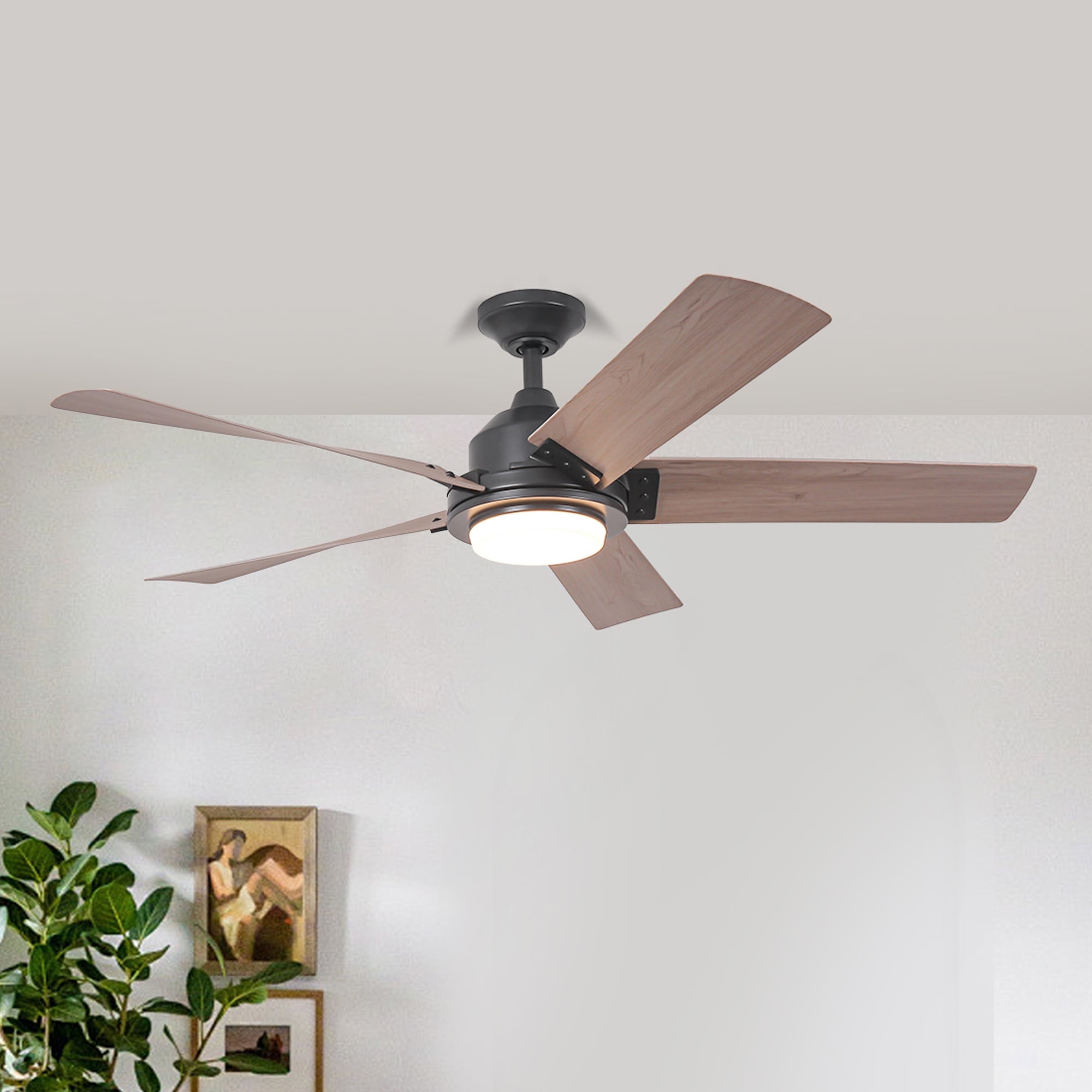 Parrot Uncle Farmhouse 52 in LED Ceiling Fan with Remote Control (Black, 52 in) 3nx14