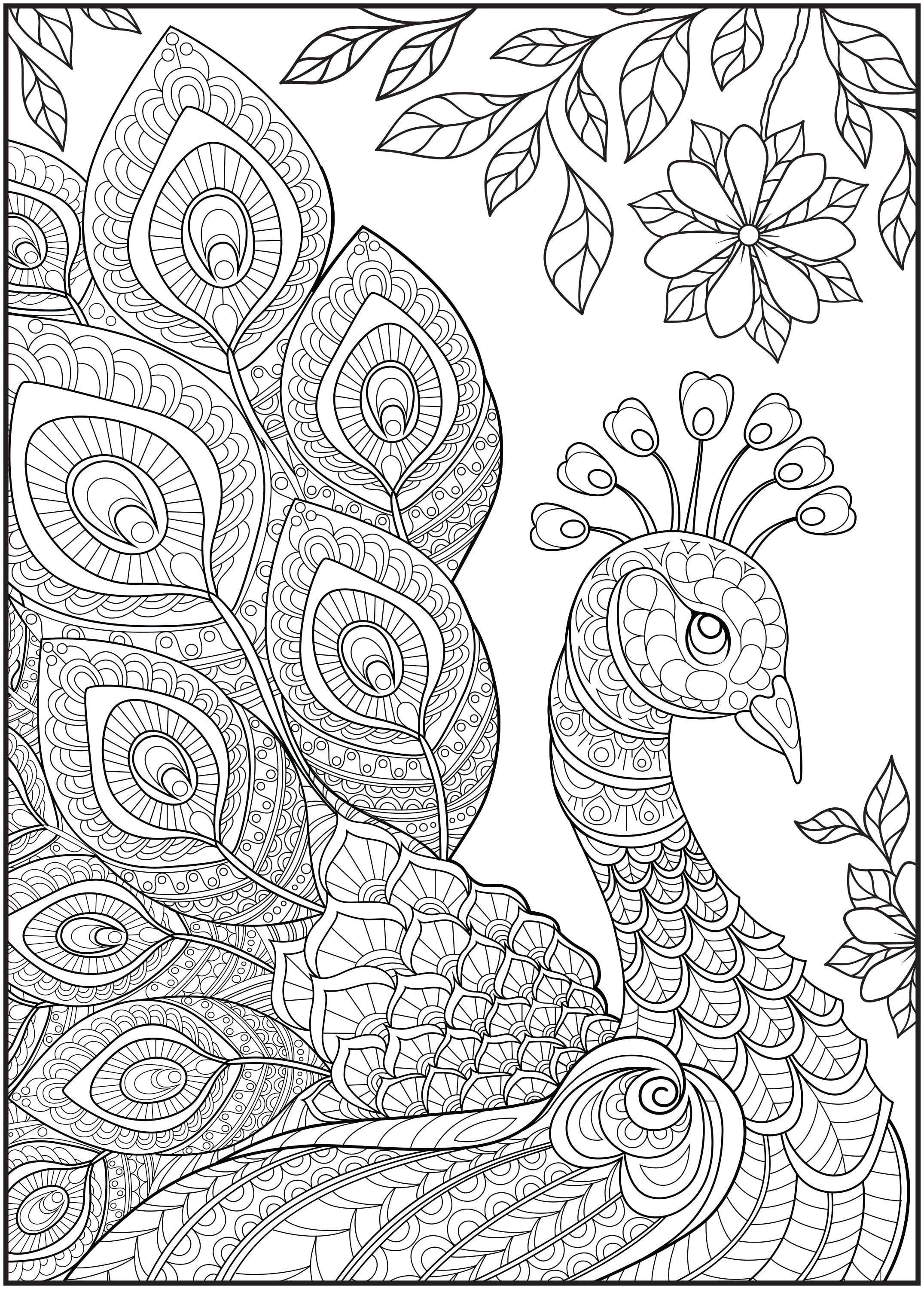 Cra-Z-Art Timeless Creations Feathered Friends Adult Coloring Book (64 Pages) fflf4