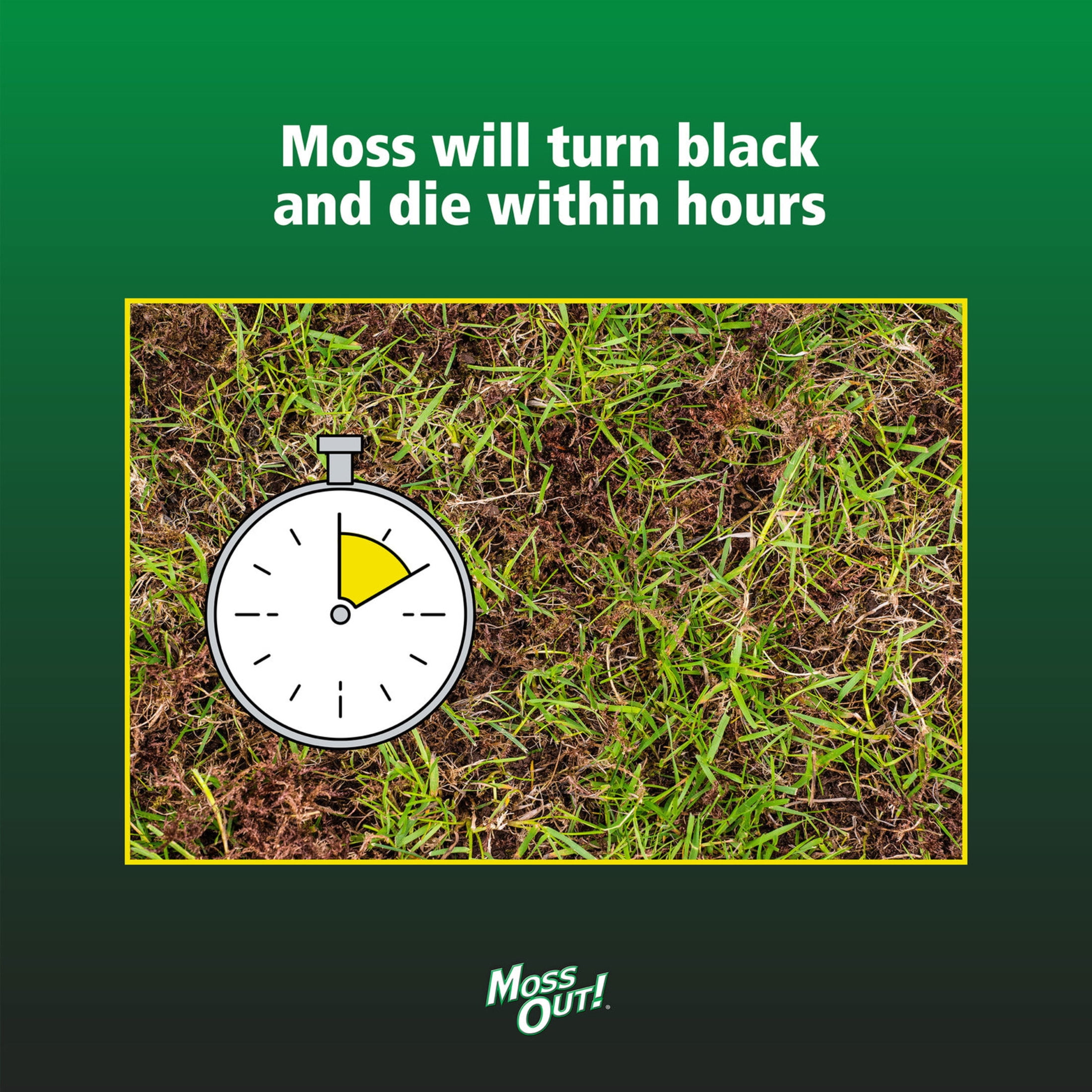 Lilly Miller Moss Out! Lawn Herbicide Treatment, Fast-Acting Moss Control (32 oz) uqtsy