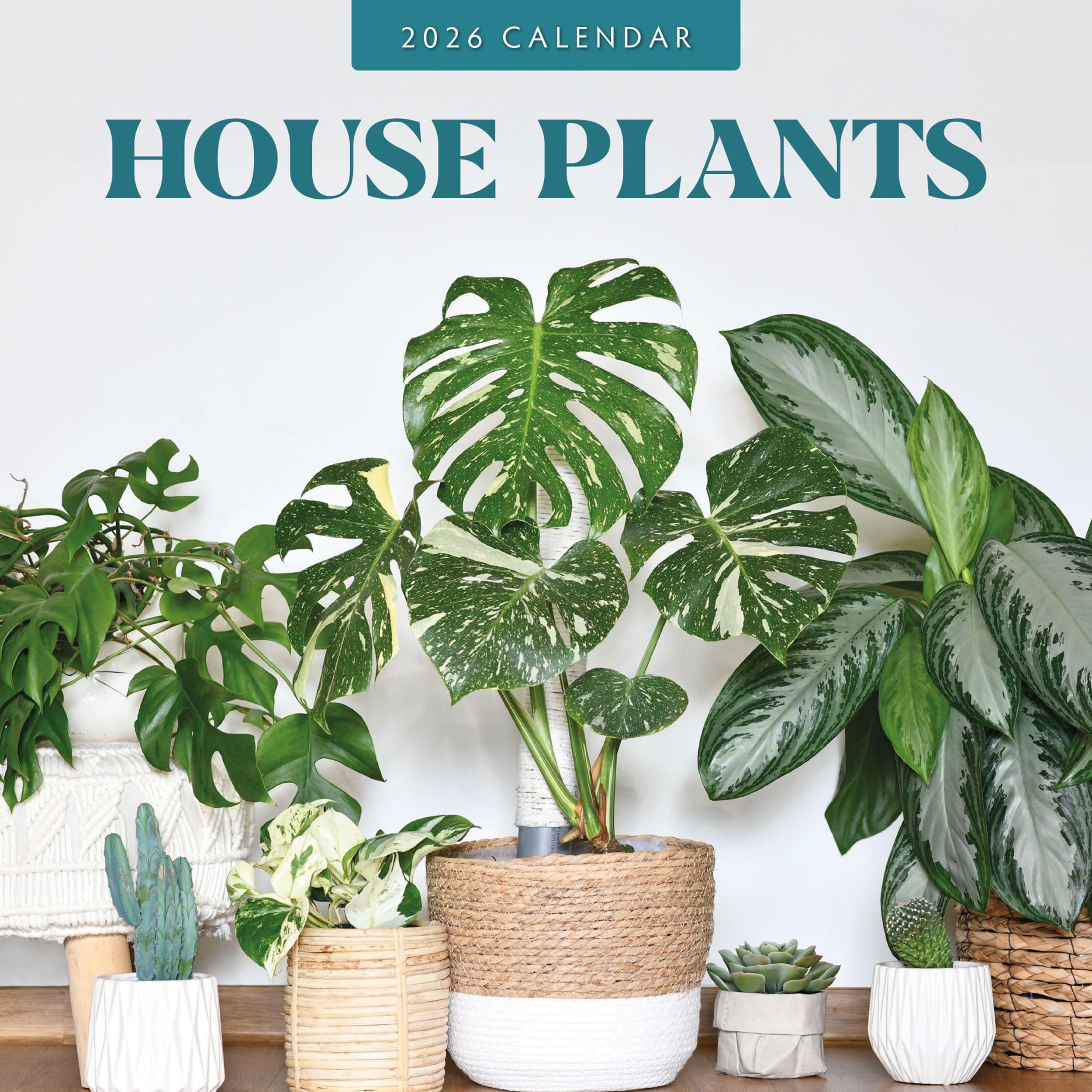 Red Robin Publishing 2026 House Plants Monthly Wall Calendar (Multicolor, 12 in x 24 in) 510n3