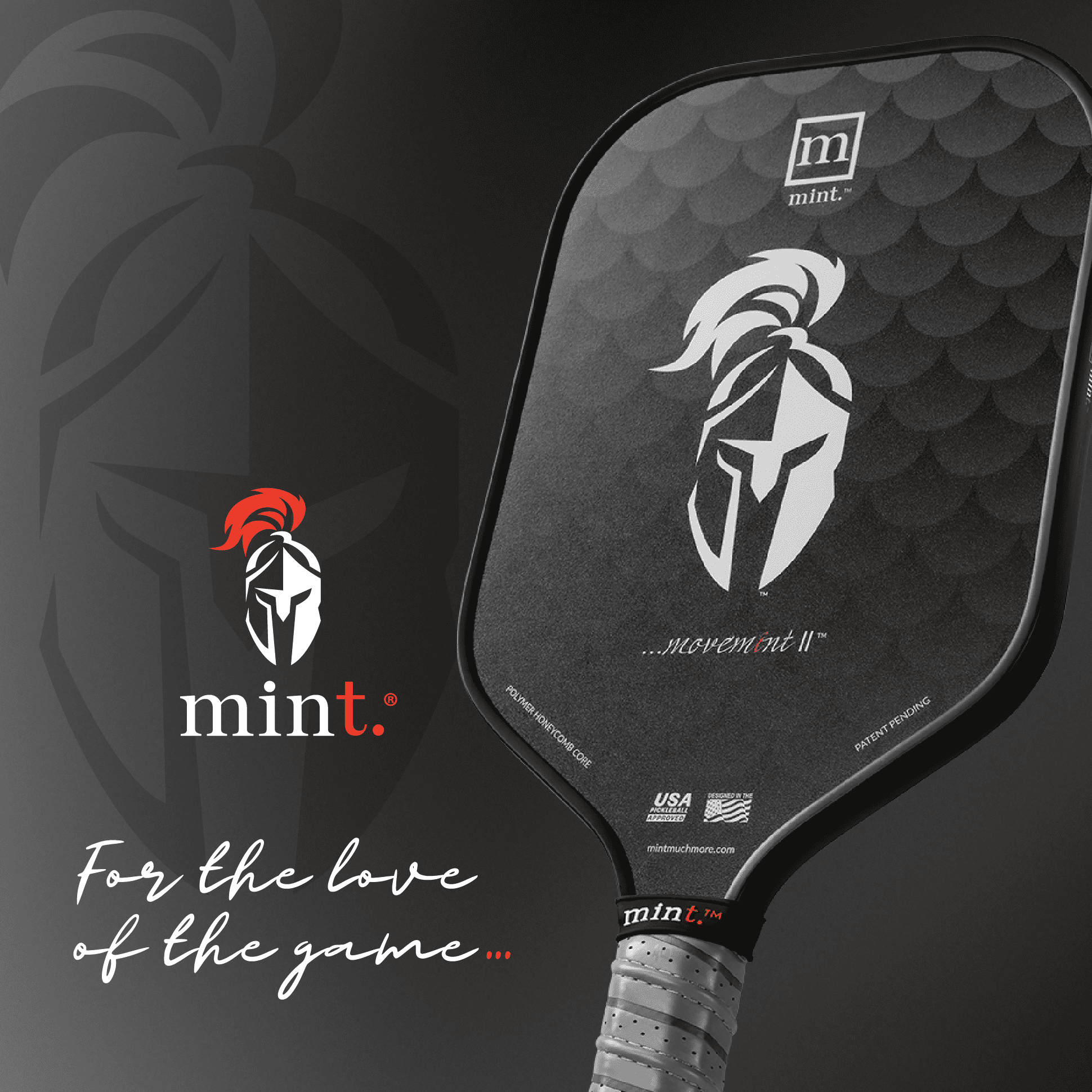 Mint T300 Carbon Fiber Pickleball Paddle, Professional Performance with 13mm Polypropylene Core (Black, 8.11 oz) k26ga