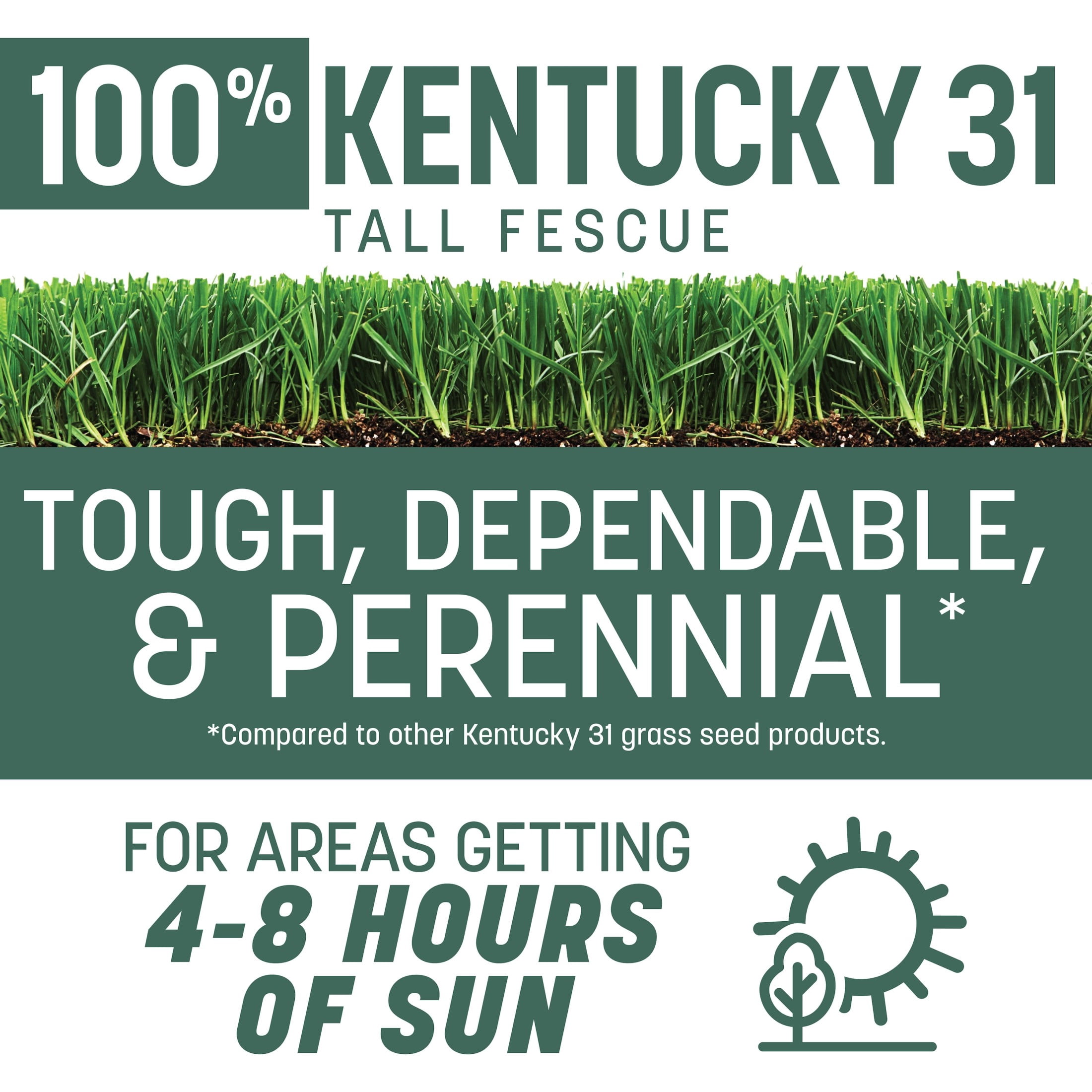Pennington Kentucky 31 Tall Fescue Grass Seed Mix for Durable Lawns (Sun to Partial Shade, 20 lb) y5lrp