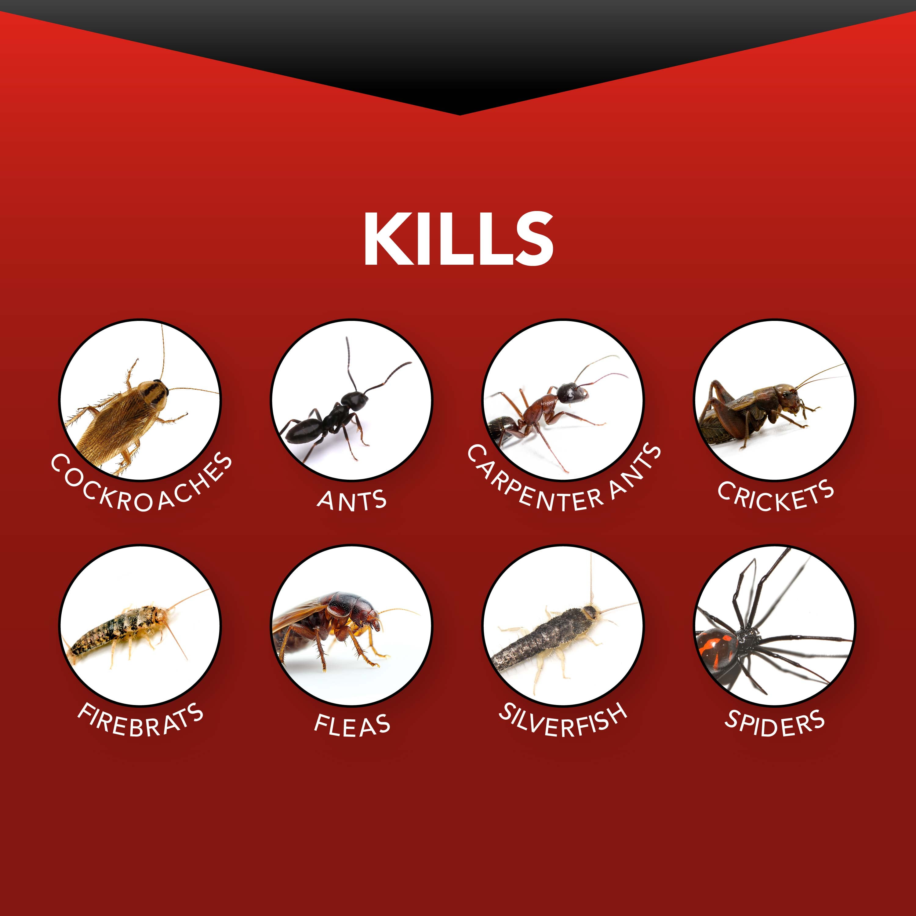 Eliminator Ant, Roach & Spider Killer Insecticide Spray (17.5 oz) 9zosv