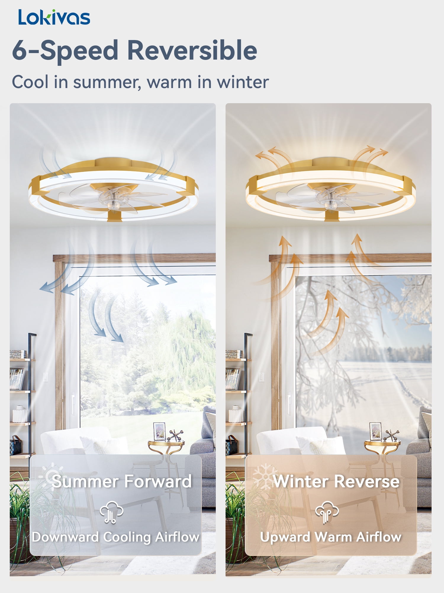 Lokivas 20in Low Profile Ceiling Fan with LED Lights and Remote Control (Gold, 20 in) 3c1p3