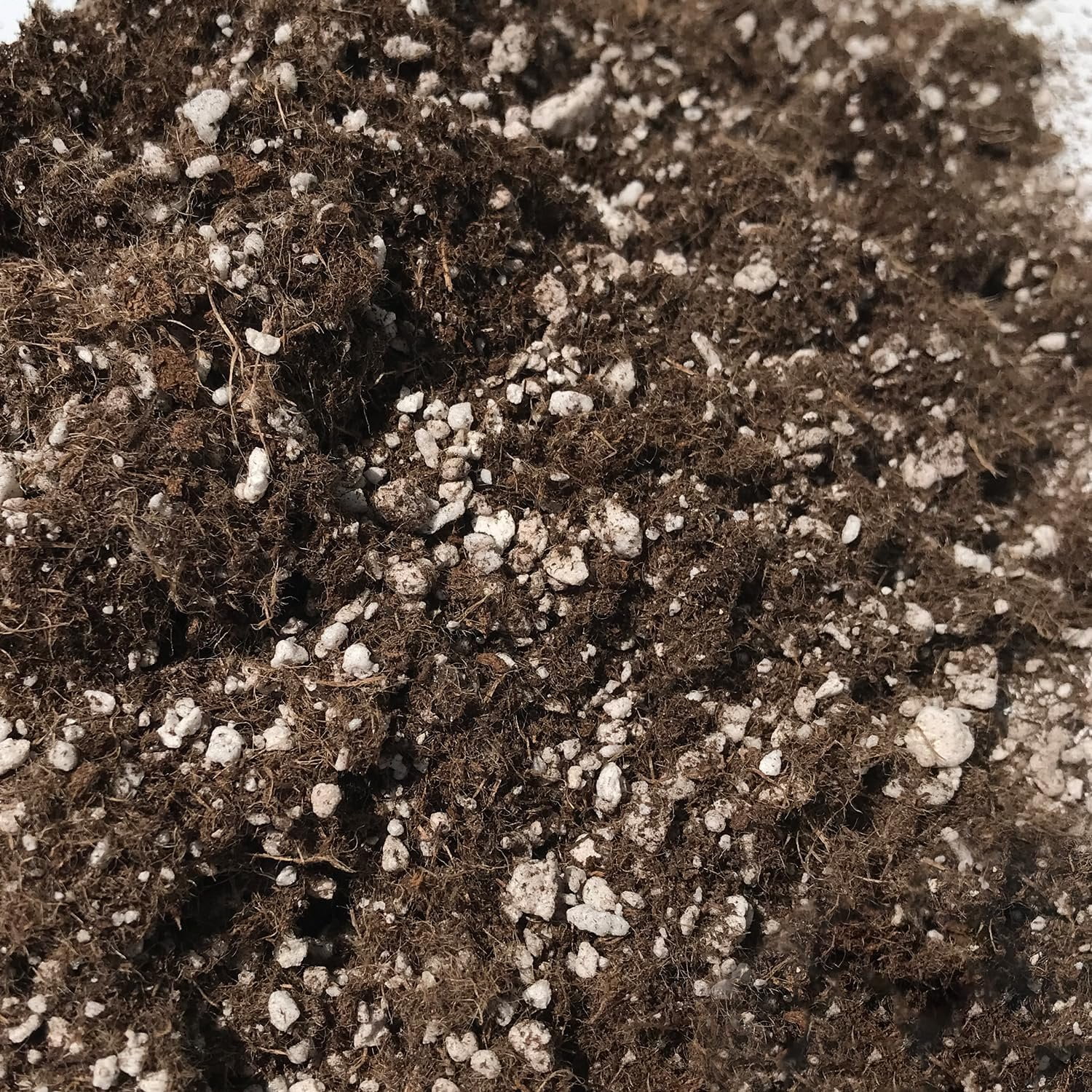 Wekiva Foliage Valencia Orange Tree Potting Soil Mix (Nutrient-Rich, 1 Quart) r4shd