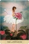 Catrin Welz-Stein Tarot of Mystical Moments Deck, Borderless Cards with Silver Gilt Edges (83-Card Set) pmtae