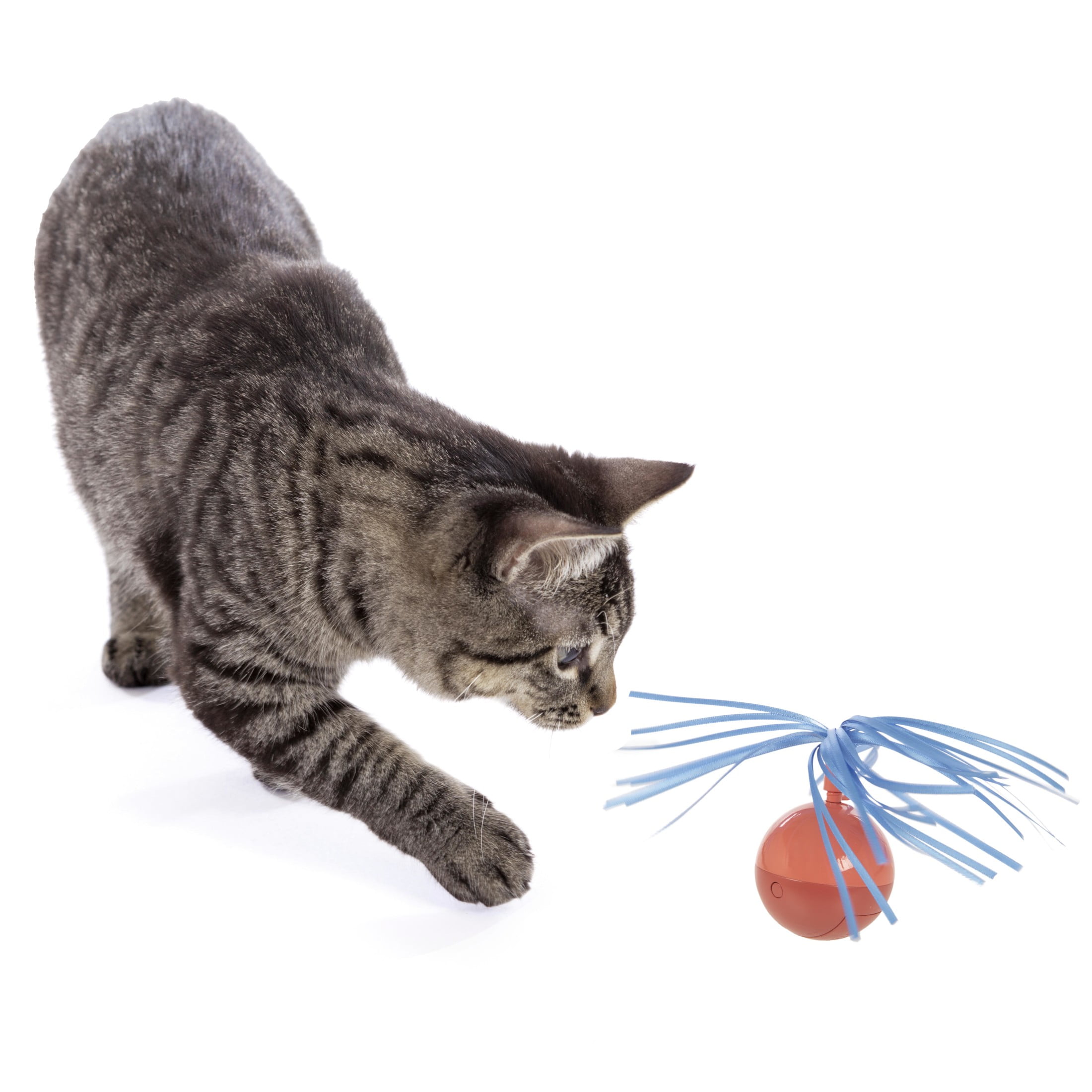 SmartyKat Twirly Top Electronic Motion Ball Cat Toy (Blue, 1 Count) 9s2sn