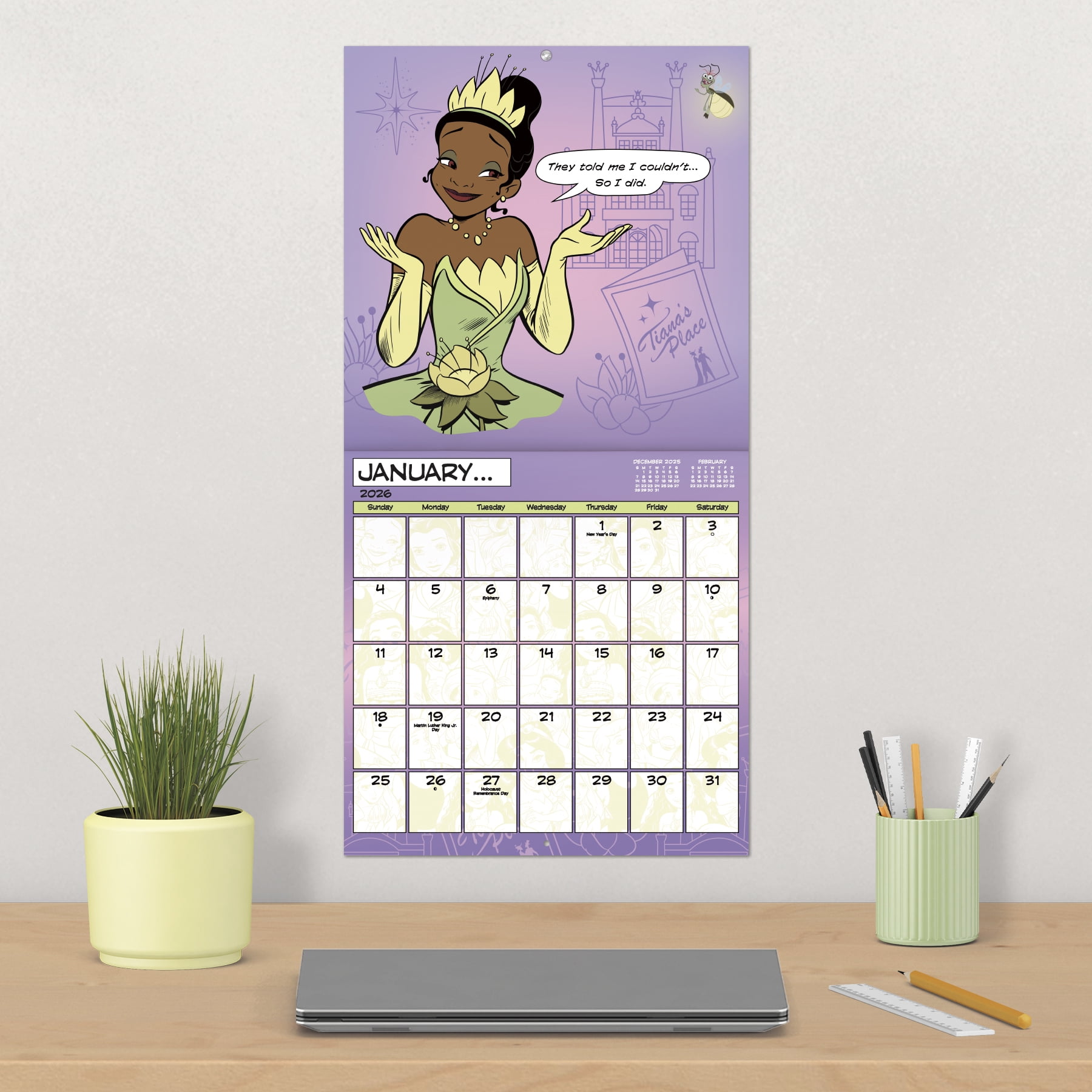 Trends International Disney Princess 2026 Wall Calendar (16-Month, 12 in x 12 in) znubi