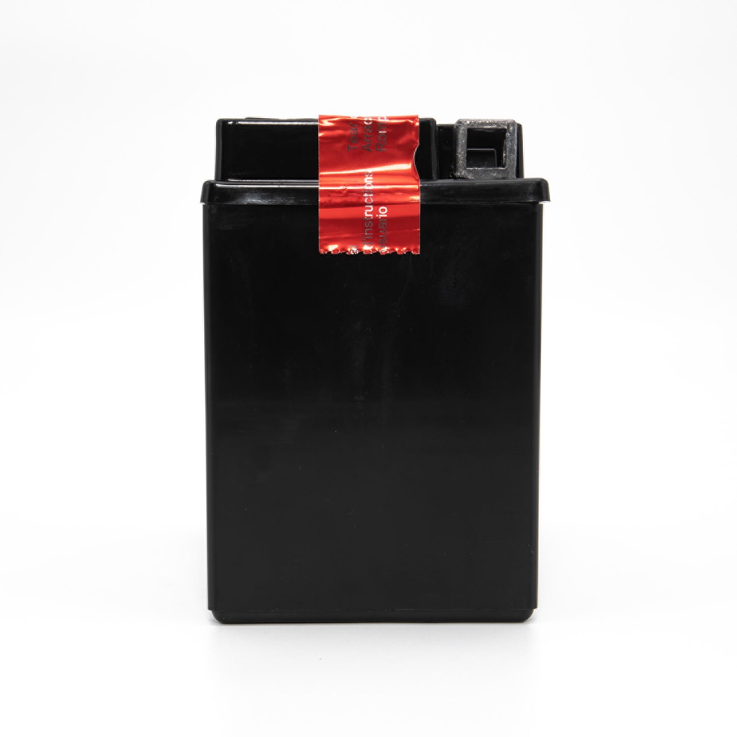 EverStart AGM PowerSport Battery (Group Size 12BS, 12 Volt, 180 CCA) y49r3