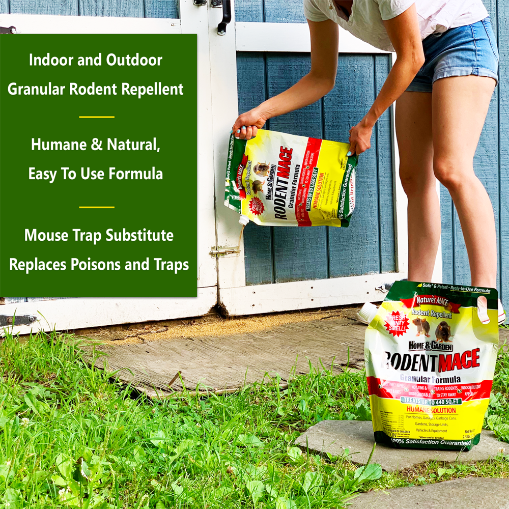 Nature's MACE Rodent Repellent Granular Formula for Mice Rats Squirrels and Chipmunks (6 lb) pgrhs
