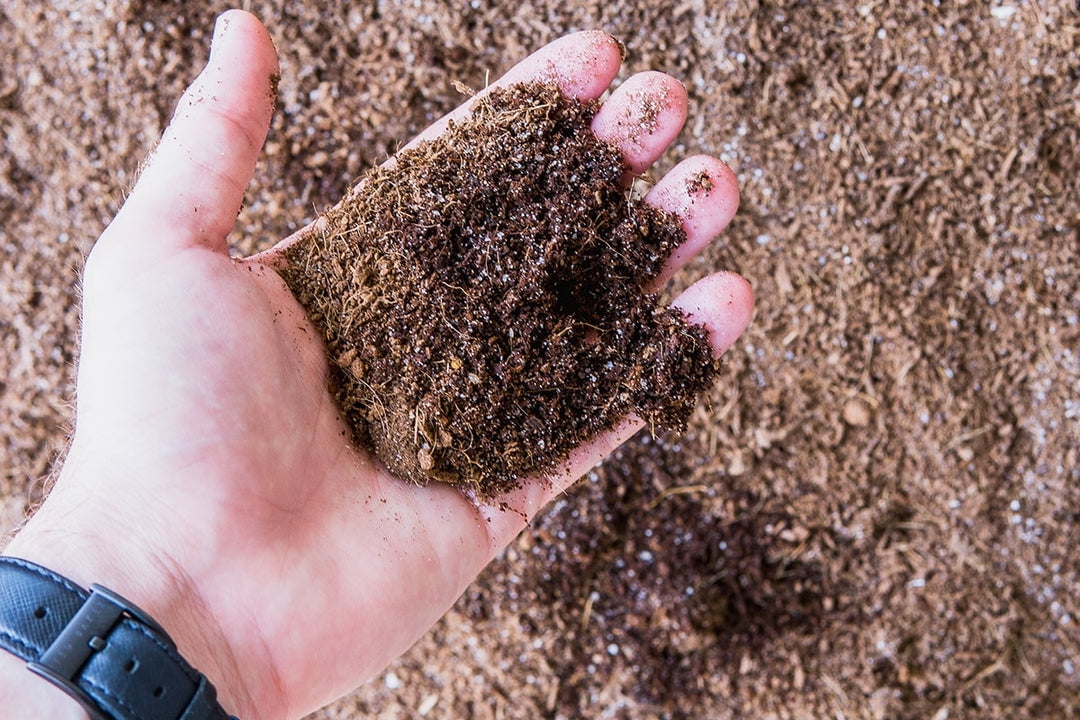 Perfect Plants Organic Garden Coir Coco Peat Soil Amendment (Natural, 10 lb) 22hw1