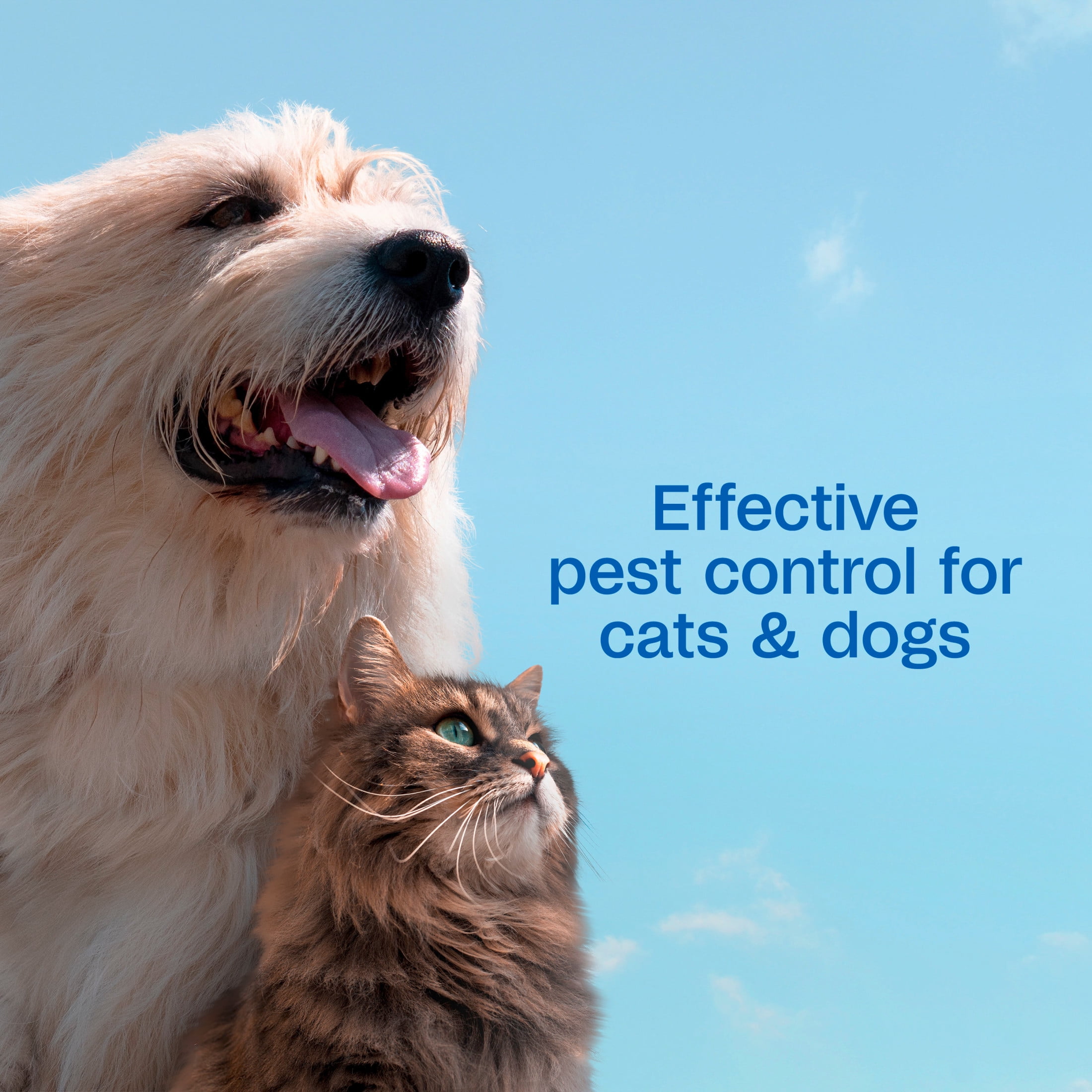 ADAMS Flea & Tick Cleansing Shampoo for Dogs and Cats, Pet Grooming Treatment for Fleas, Ticks, and Lice (Blue, 12 fl oz) ul36n