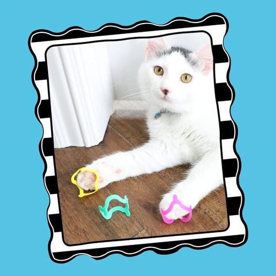 Petmate Cat Crazies Interactive Cat Toys for Indoor Play (Multicolor, 4 Pack) aevpr