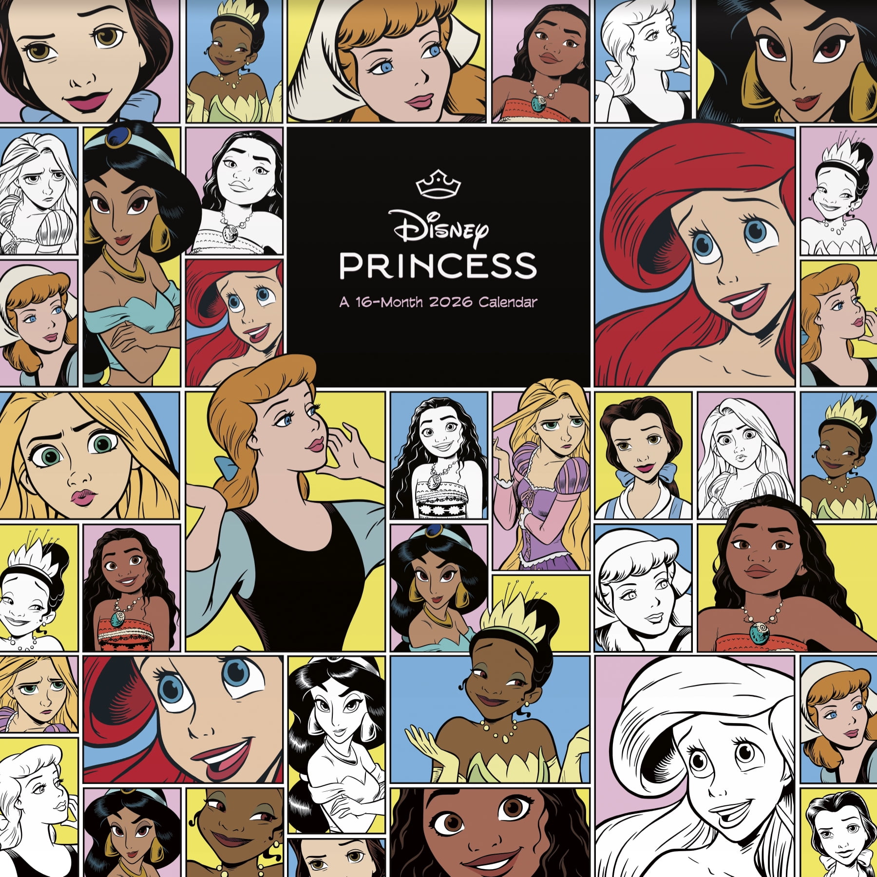 Trends International Disney Princess 2026 Wall Calendar (16-Month, 12 in x 12 in) znubi