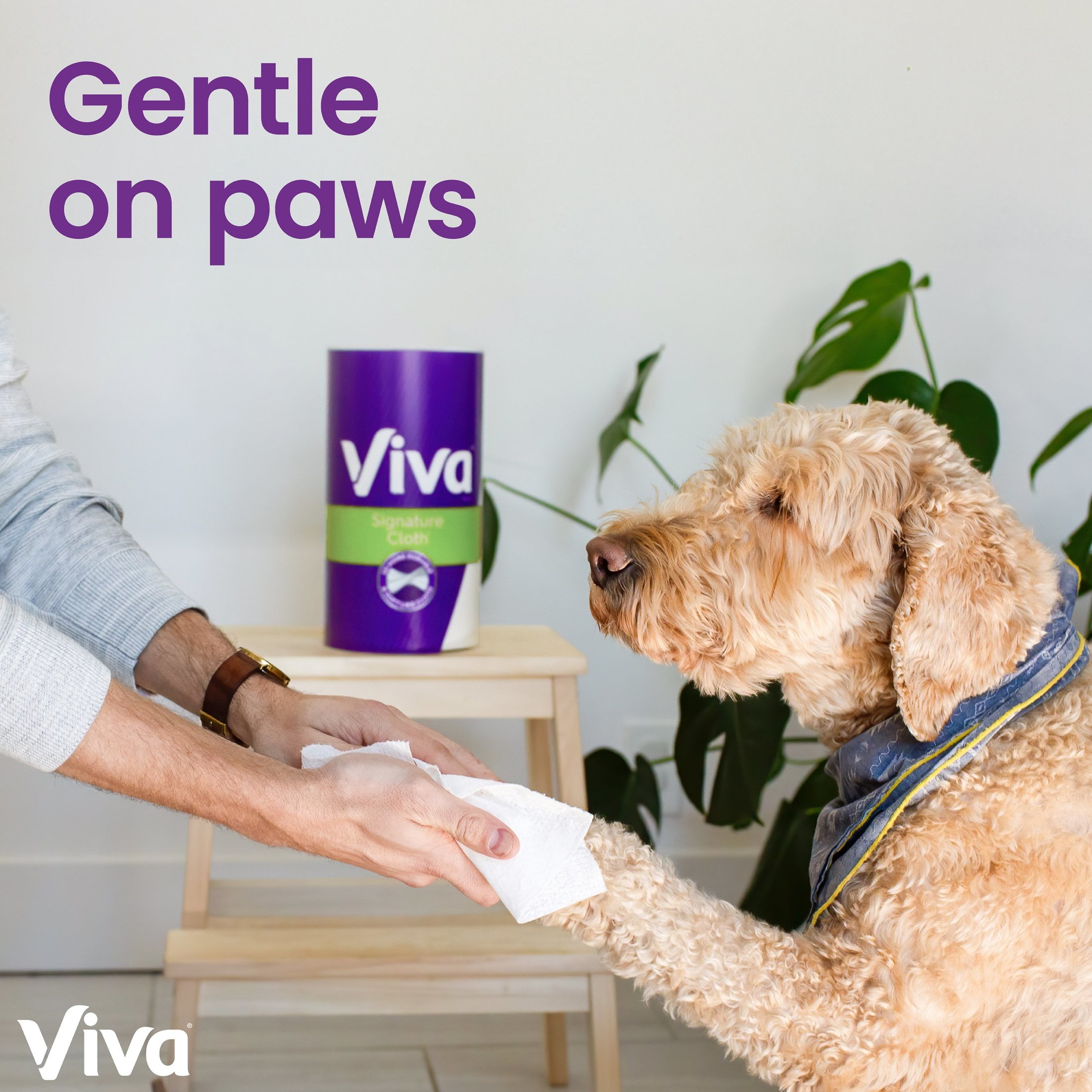 Viva Signature Cloth Paper Towels, Durable Absorbent Cleaning Sheets (White, 6 Double Rolls) mrafd