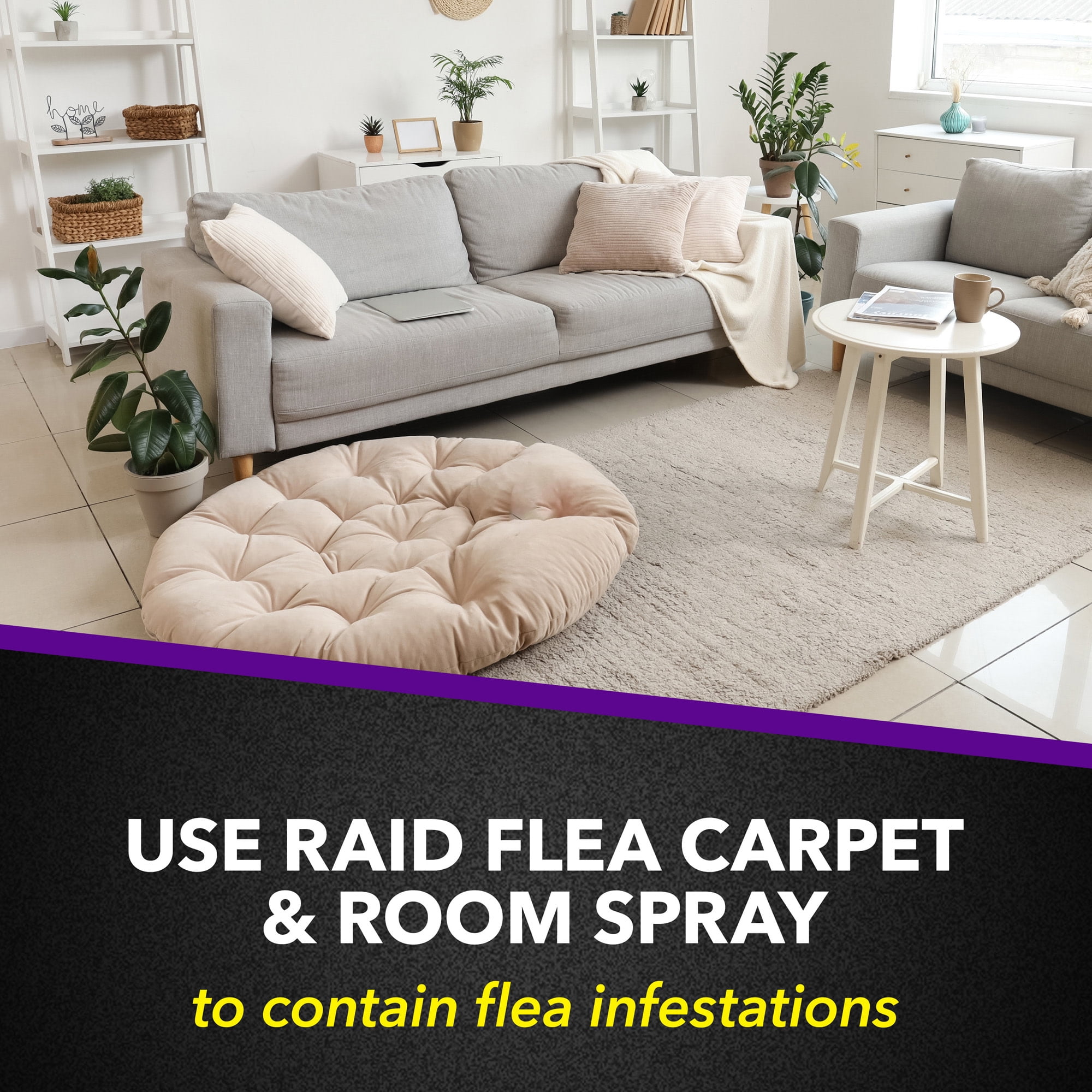 Raid Flea Killer Carpet and Room Spray, Contact Insecticide for Fleas and Ticks (16 oz) d0afh