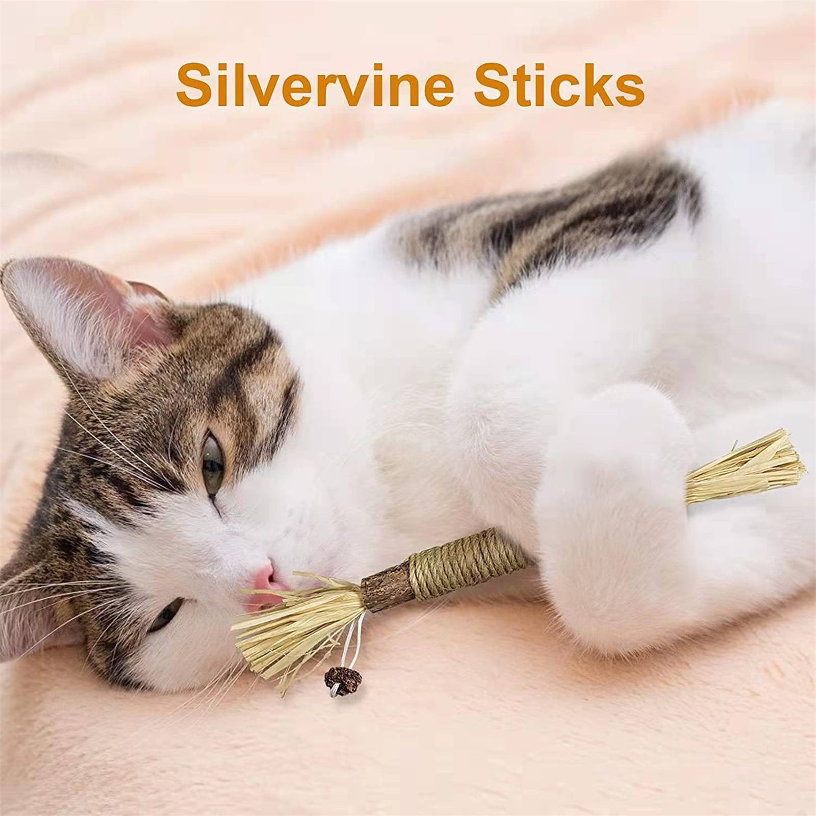 Holloyiver Natural Silvervine Sticks Cat Dental Chew Toy for Teeth Cleaning (5 Pack) 7k8vc