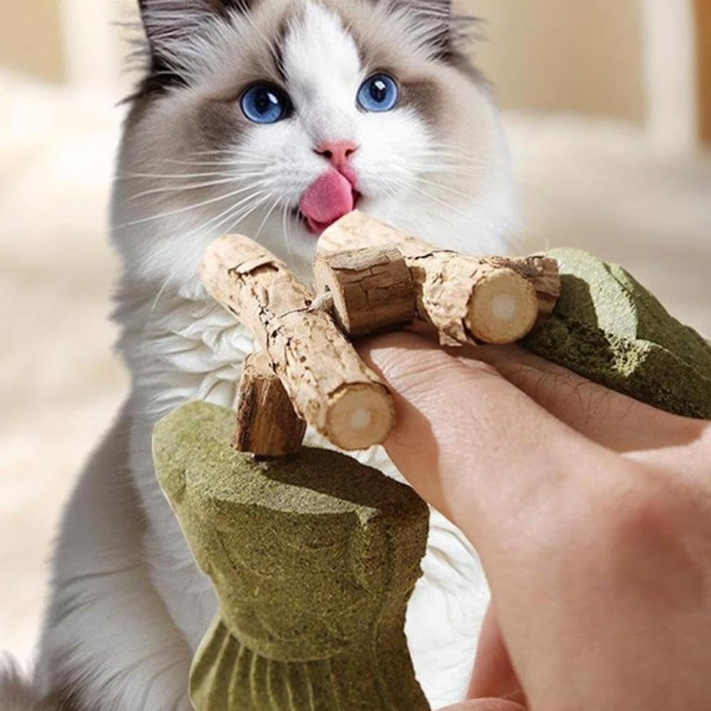 XIAXIAJ Cat Dental Toy Fish Bone Shape Natural Catnip and Silver Vine Stick (3pcs) cwmou