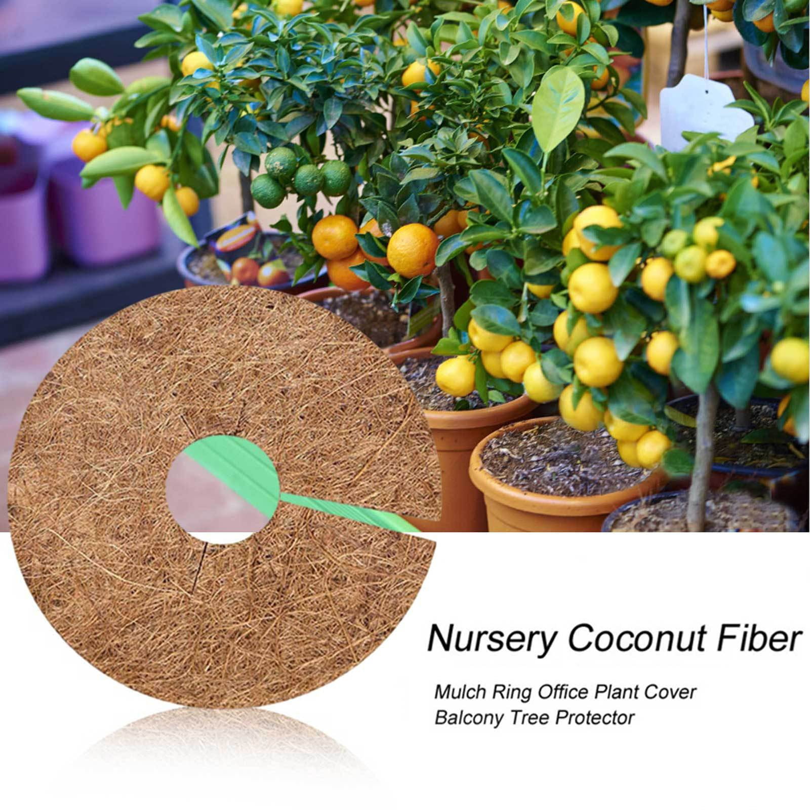 NANDIYNZHI Natural Coconut Fiber Mulch Ring for Plant Pots, Weed Barrier and Moisture Retention (6 Pack, 7.9 in) u492d