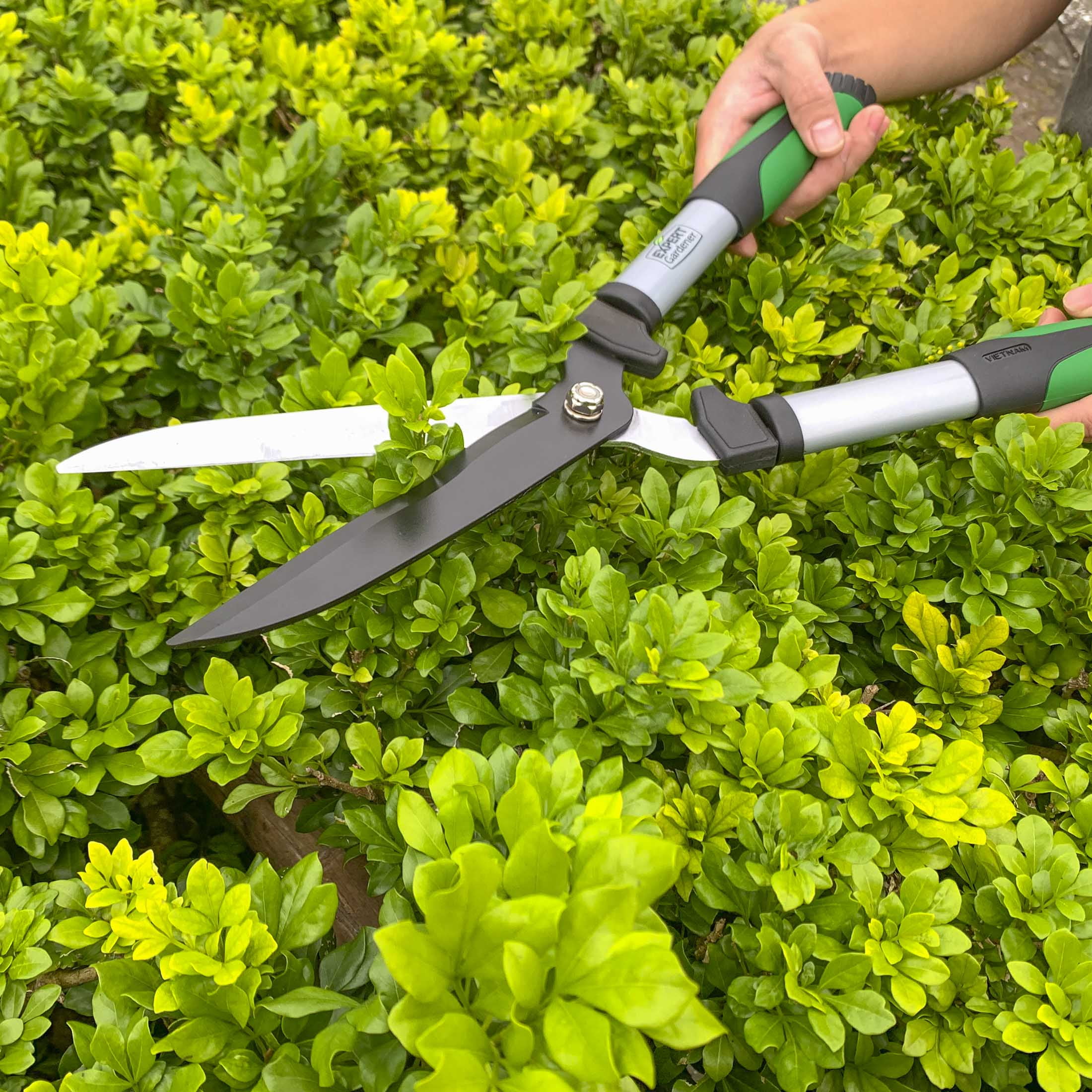 Expert Gardener Hedge Shear Heavy-Duty Gardening Tool (Green and Black, 20 in) l3hmu