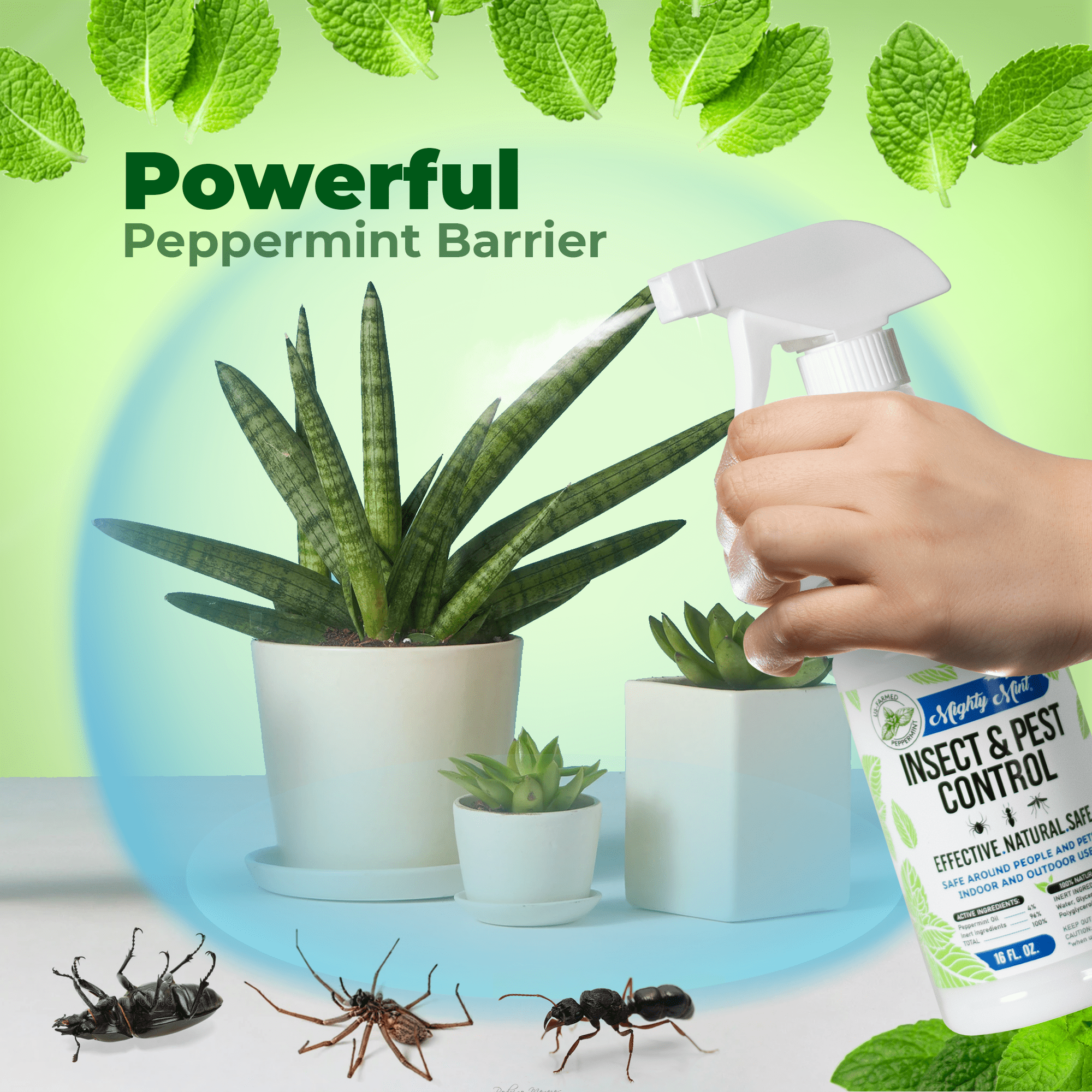 Mighty Mint Peppermint Oil Insect & Pest Spray with Microfiber Cloth (16 oz) lowd6 - Image 6