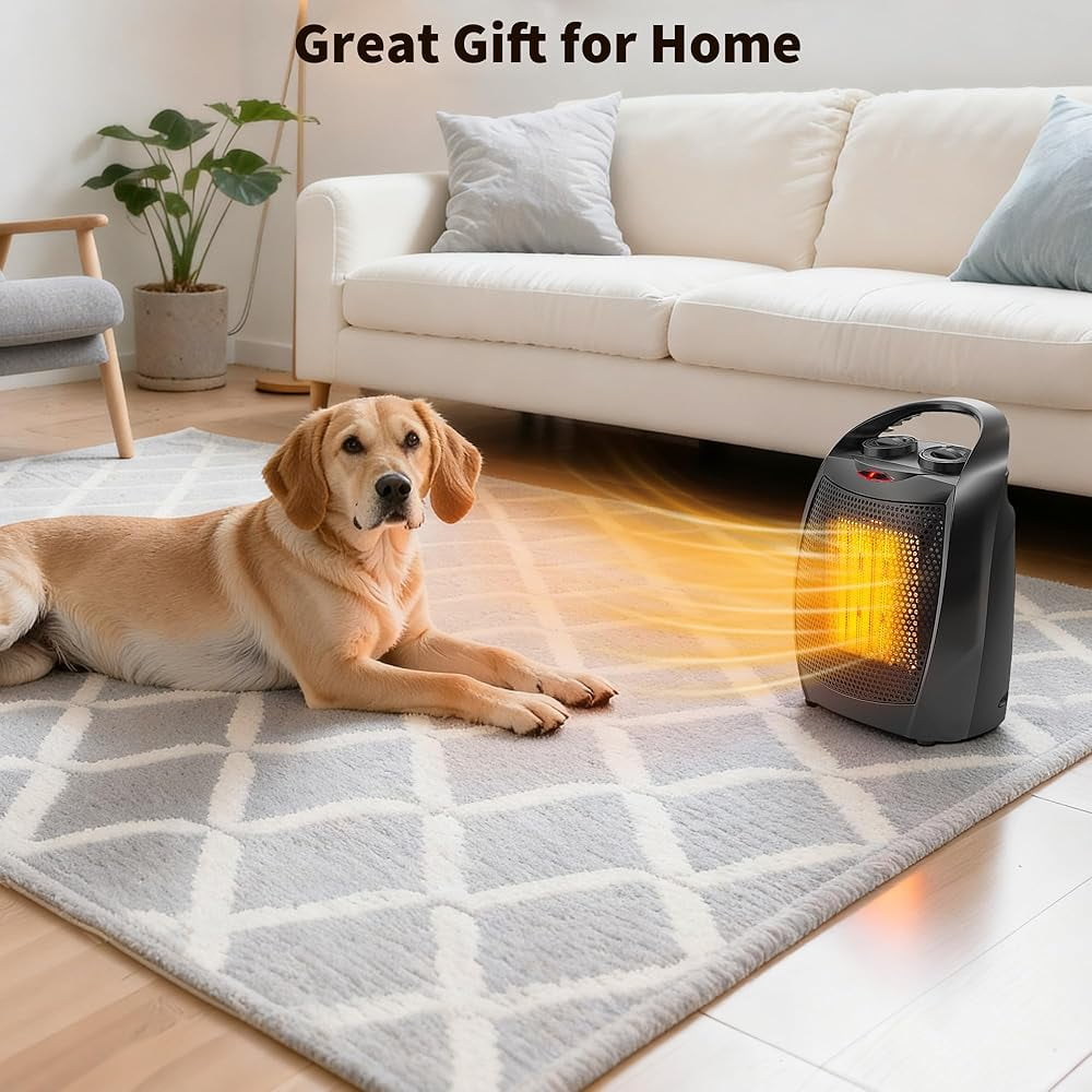 Eastvita Electric Space Heater, Ceramic Desk Heater & Fan with Thermostat (Black, 2.2 lb) y4m06
