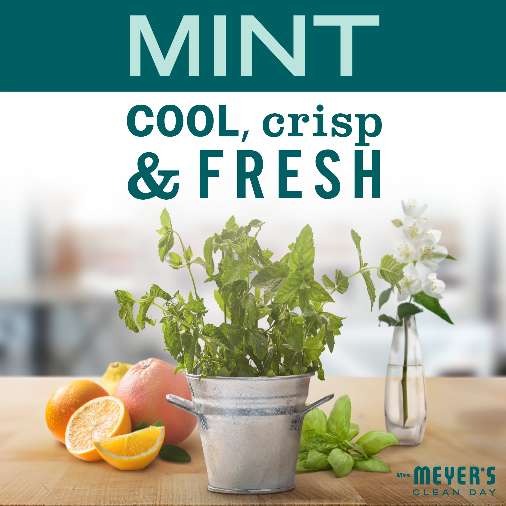 Mrs. Meyer's Clean Day Multi-Surface Everyday Cleaner, Mint Scent (16 oz) qrlld