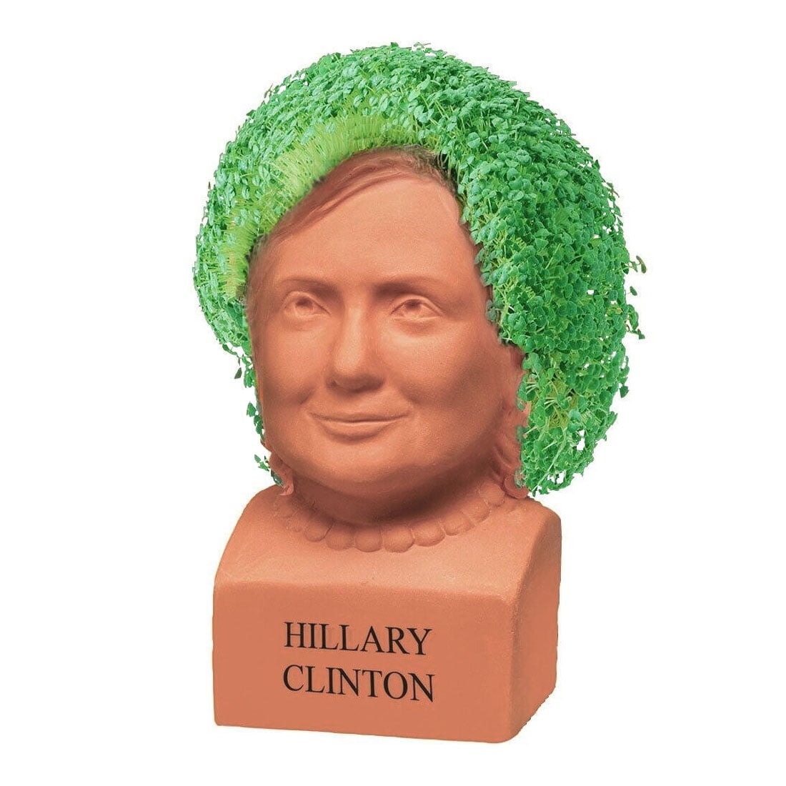 As Seen on TV Chia Pet Decorative Pottery Planter, Hillary Clinton Novelty Growing Kit (3 Plantings) xs9q8