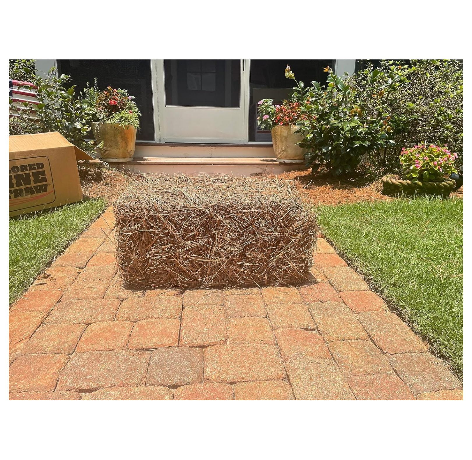 GpLuMy Premium Square Pine Straw Bale (Natural, 70 sq ft) m0pg6 - Image 4