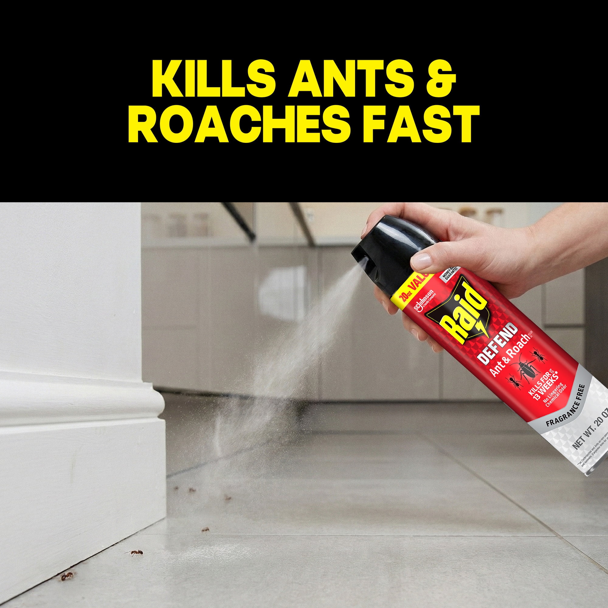 Raid Ant & Roach Killer Indoor Insecticide Spray (Fragrance Free, 20 oz) s92o8