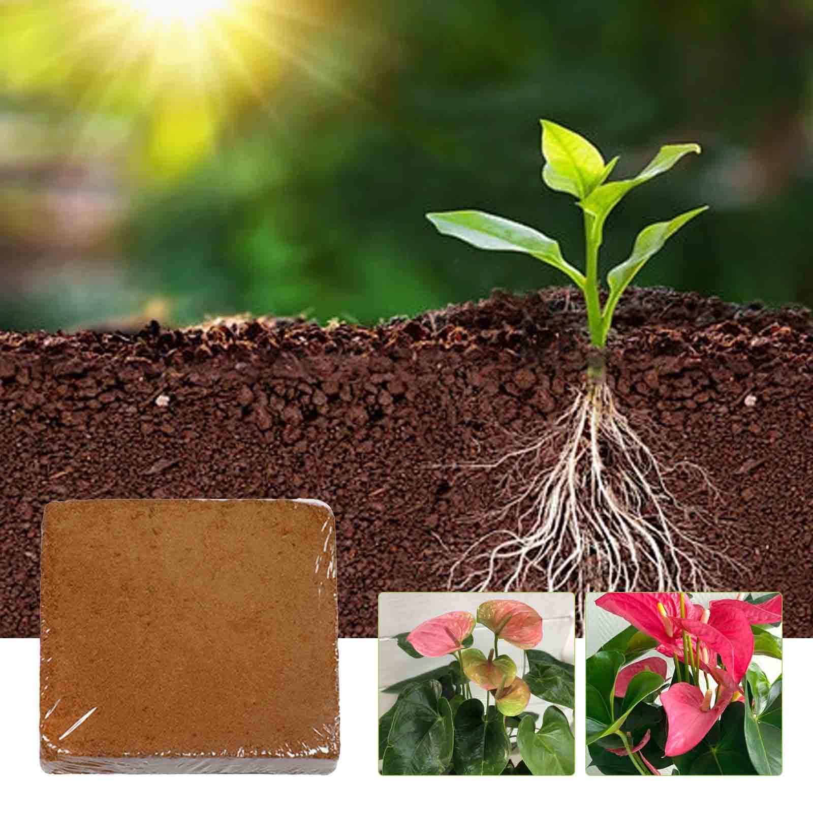 Txlpkdyx Compressed Coconut Coir Brick Organic Potting Soil Growing Medium for Indoor and Outdoor Gardening (1.4 lb) wmdcy